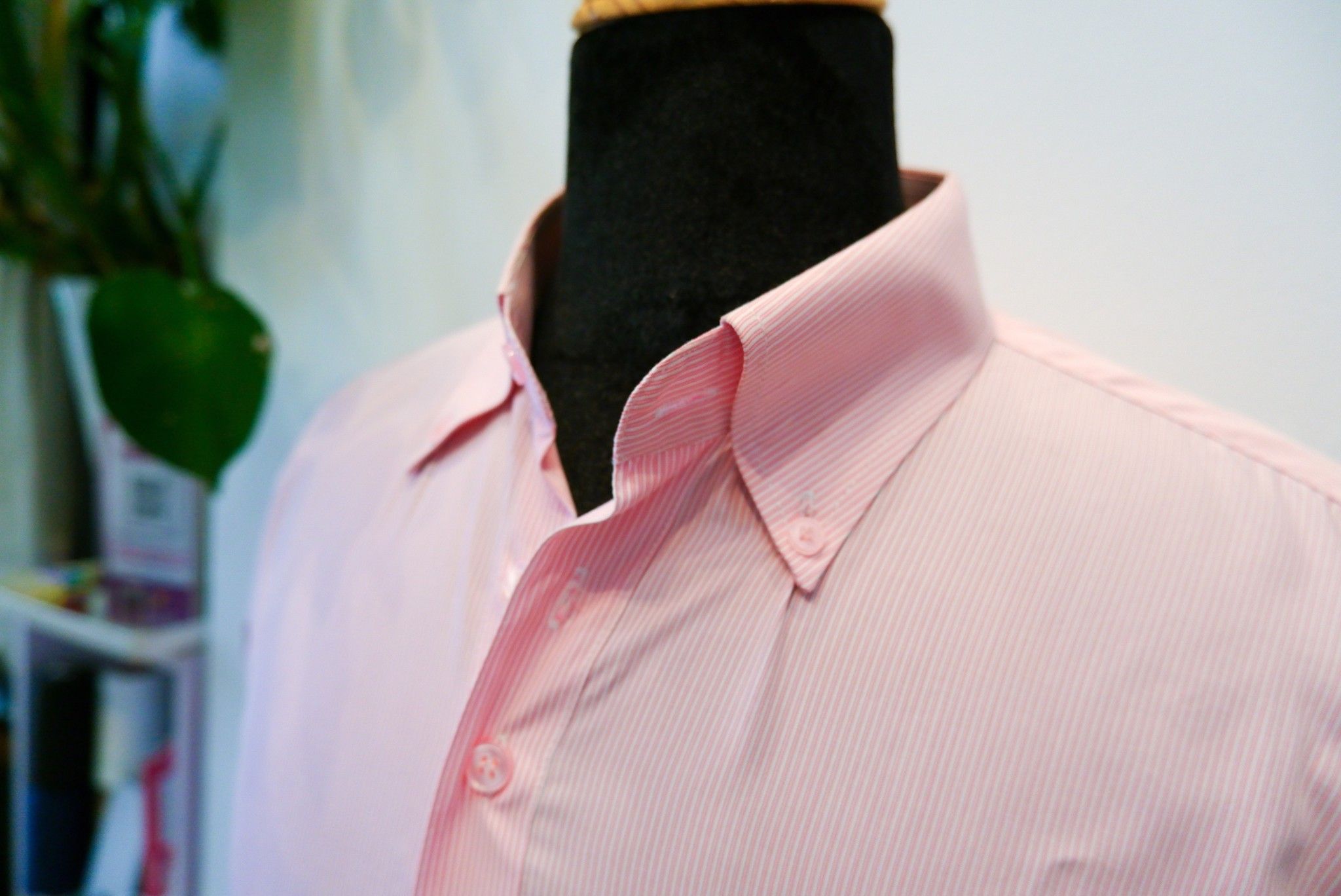 Áo sơ mi hồng cổ Buttondown- Vải sồi cao cấp