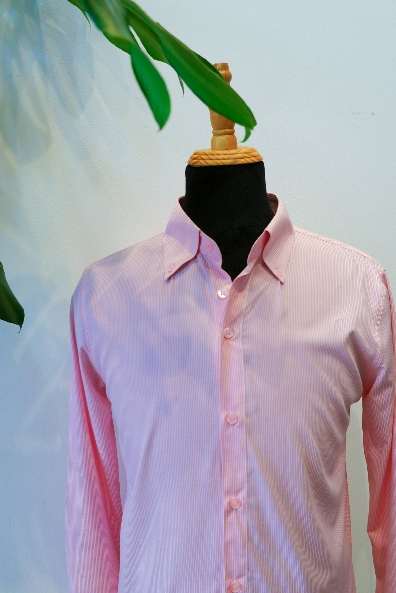 Áo sơ mi hồng cổ Buttondown- Vải sồi cao cấp
