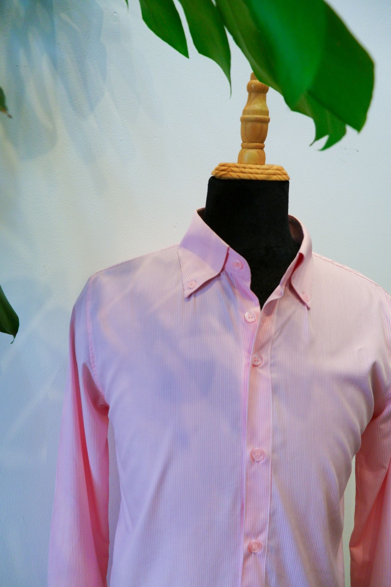Áo sơ mi hồng cổ Buttondown- Vải sồi cao cấp