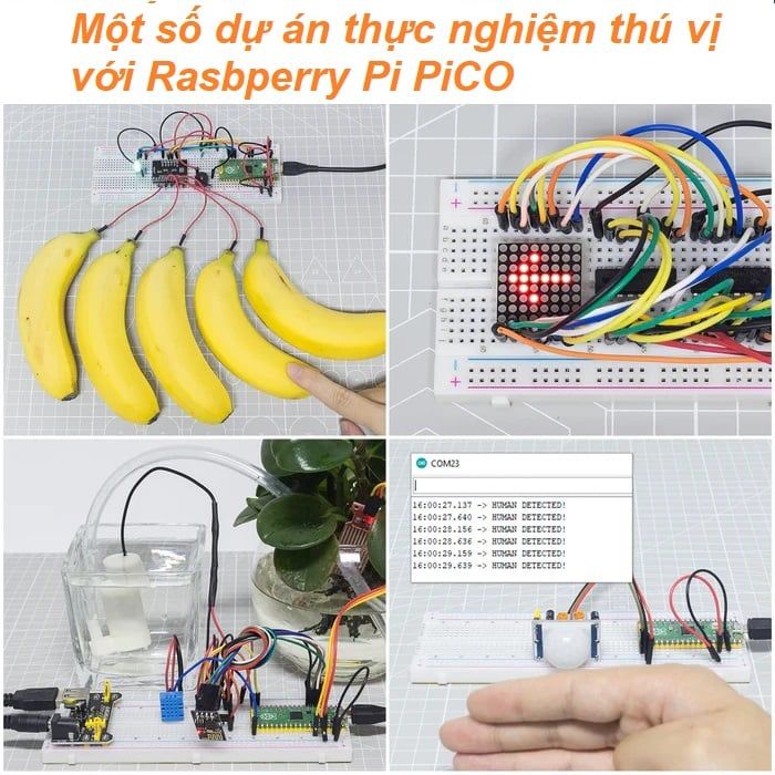 Raspberry Pi Pico Starter kit - Bộ kit lập trình Raspberry Pi Pico