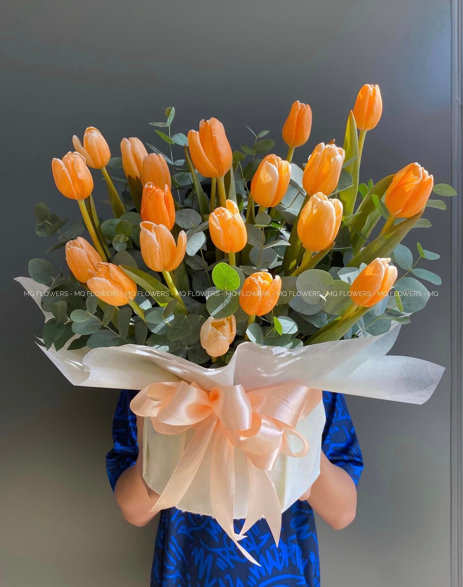 H0162-TULIP CAM