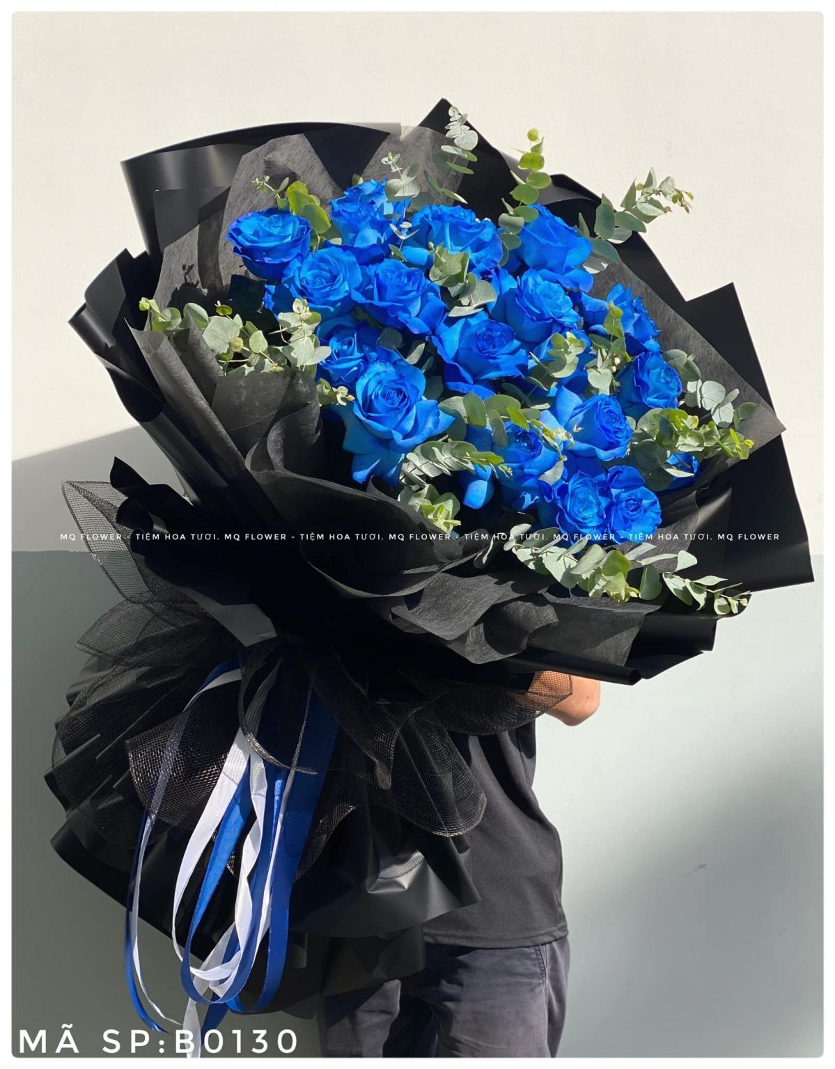 B0044-BẦU TRỜI ĐÊM