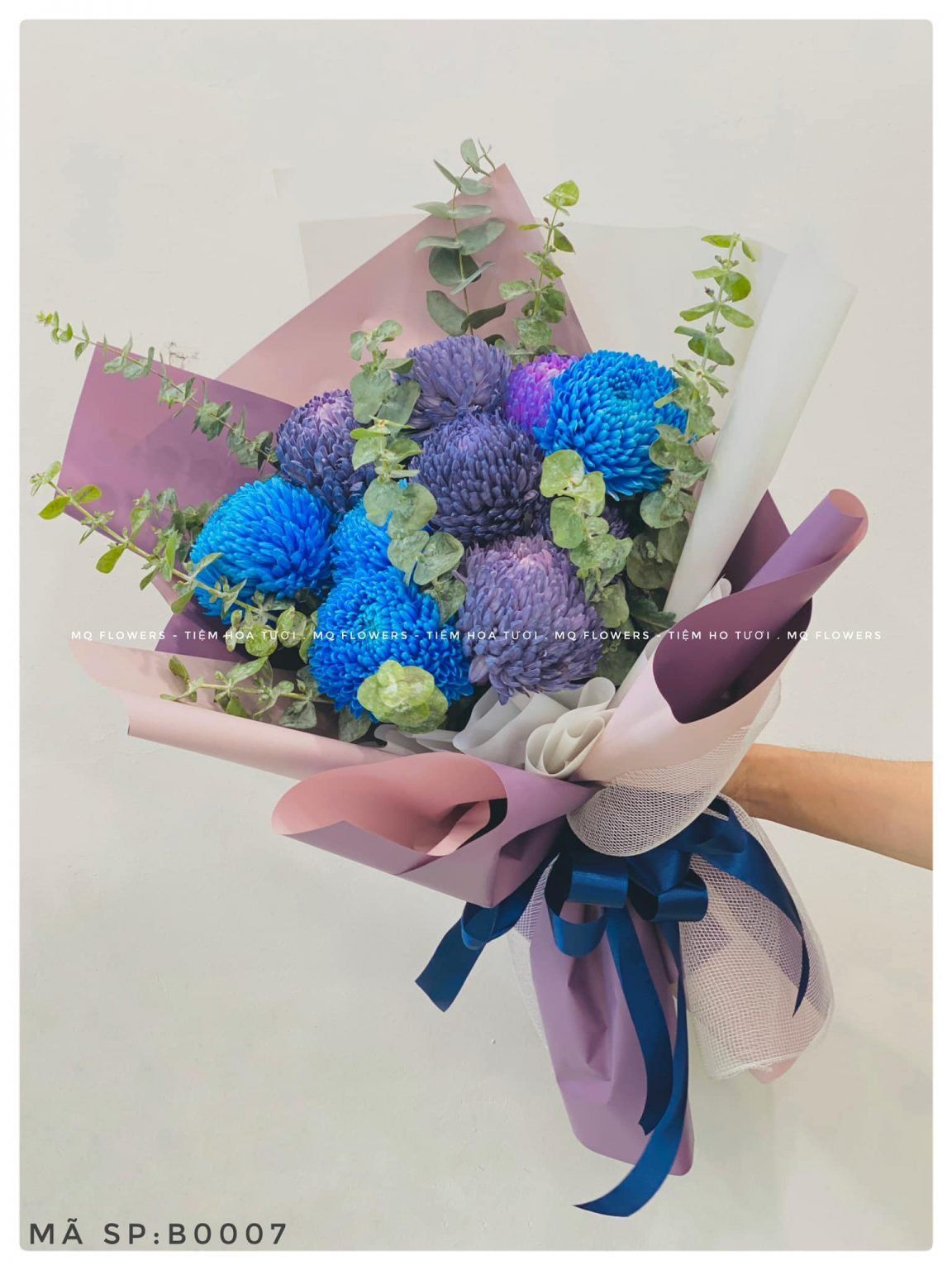 B0043-BLUE SKY