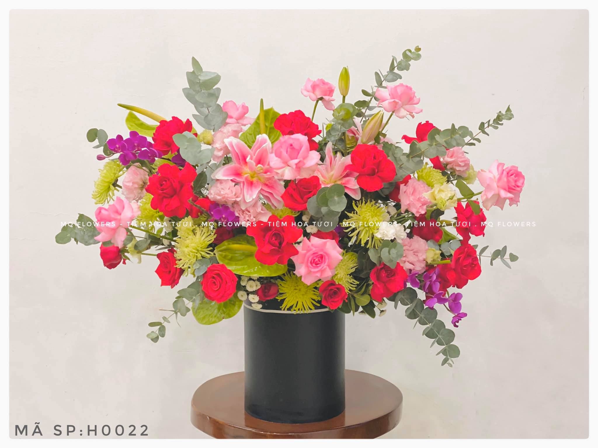 H0007-BỪNG SÁNG