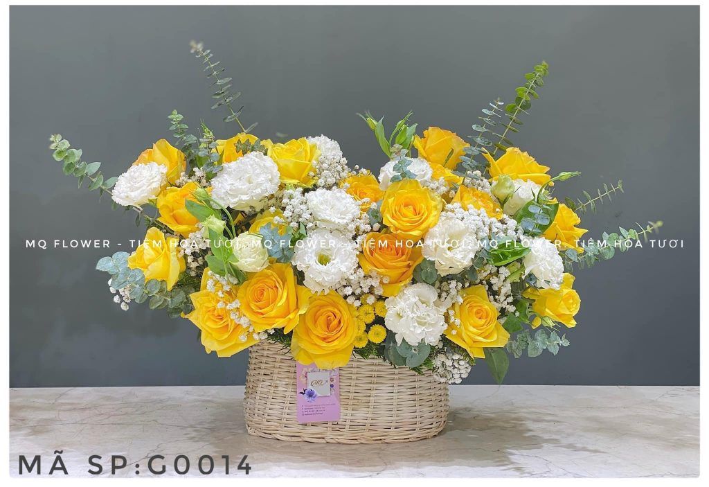G0015-TƯƠI MỚI