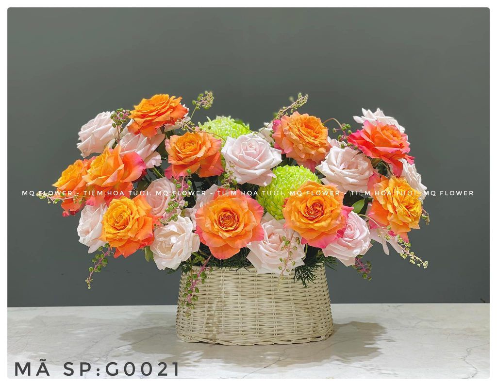 G0022-TRI KỶ