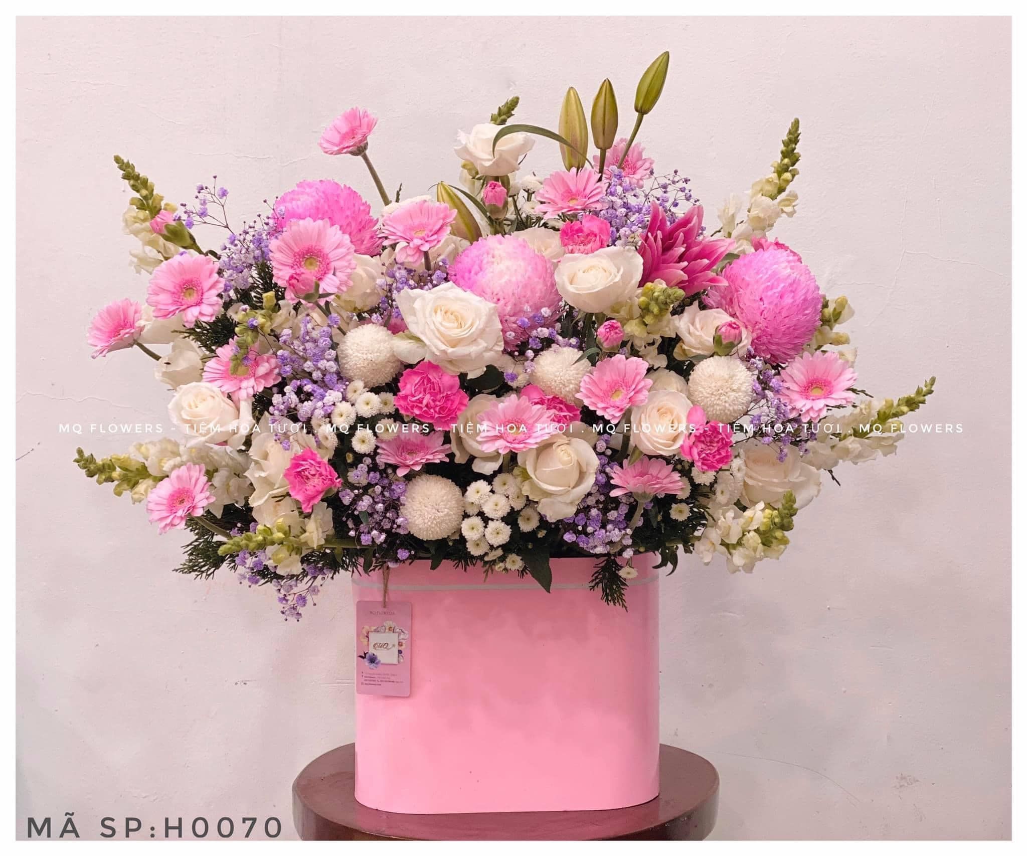 H0015-GIẤC MƠ HỒNG