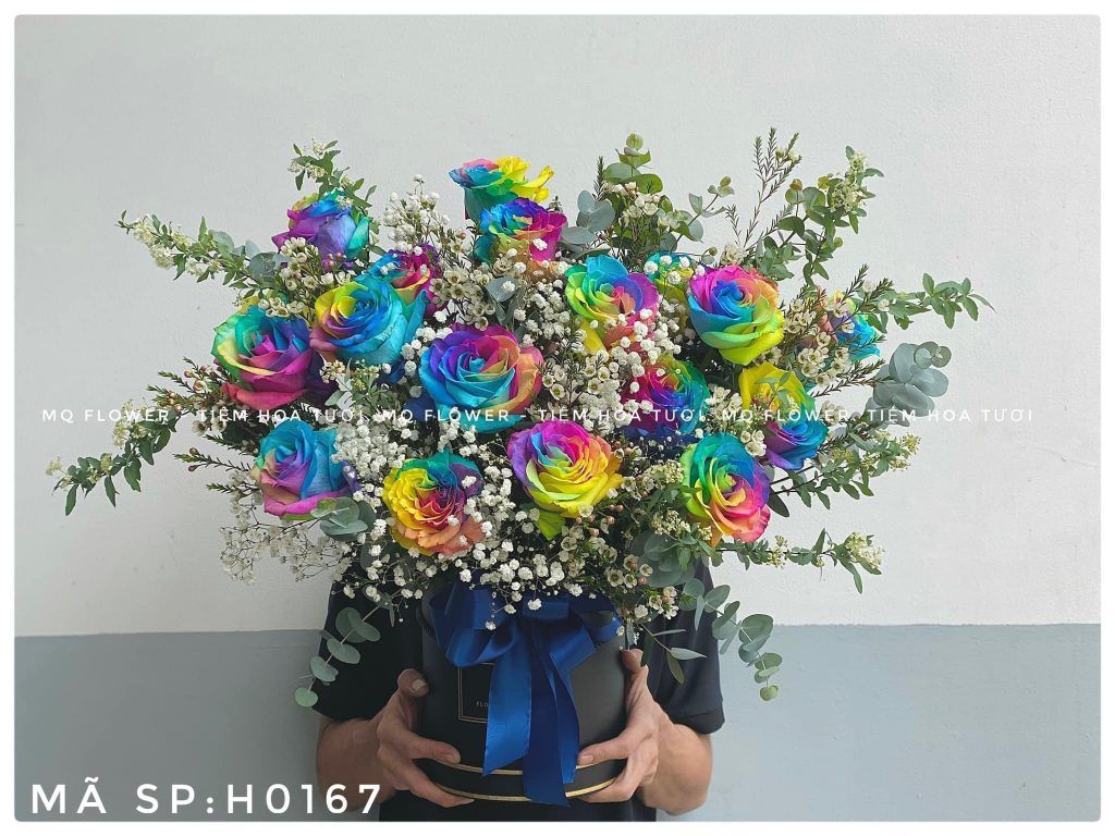 H0103-RAINBOW