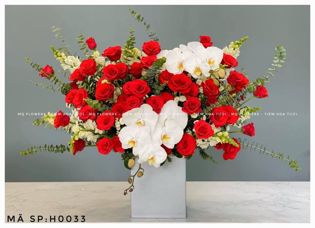 H0100-RED ROSES