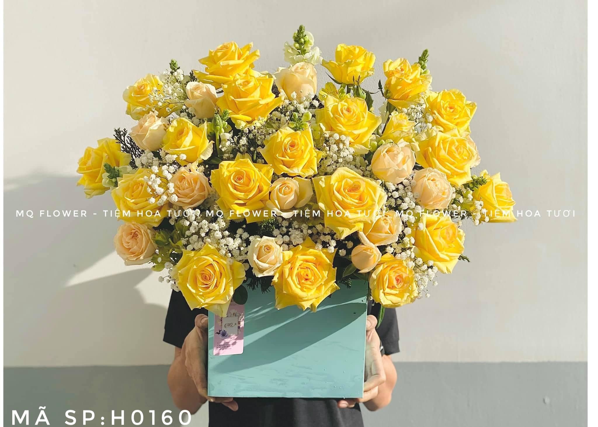 H0030-MAY MẮN