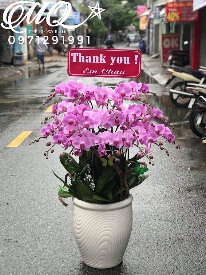 L0017-QUYẾN RŨ