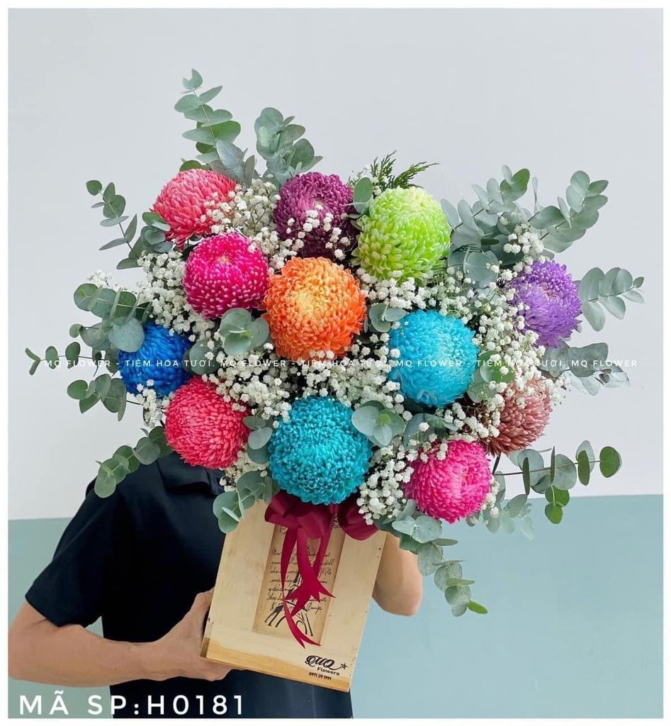 H0153-SẮC MÀU