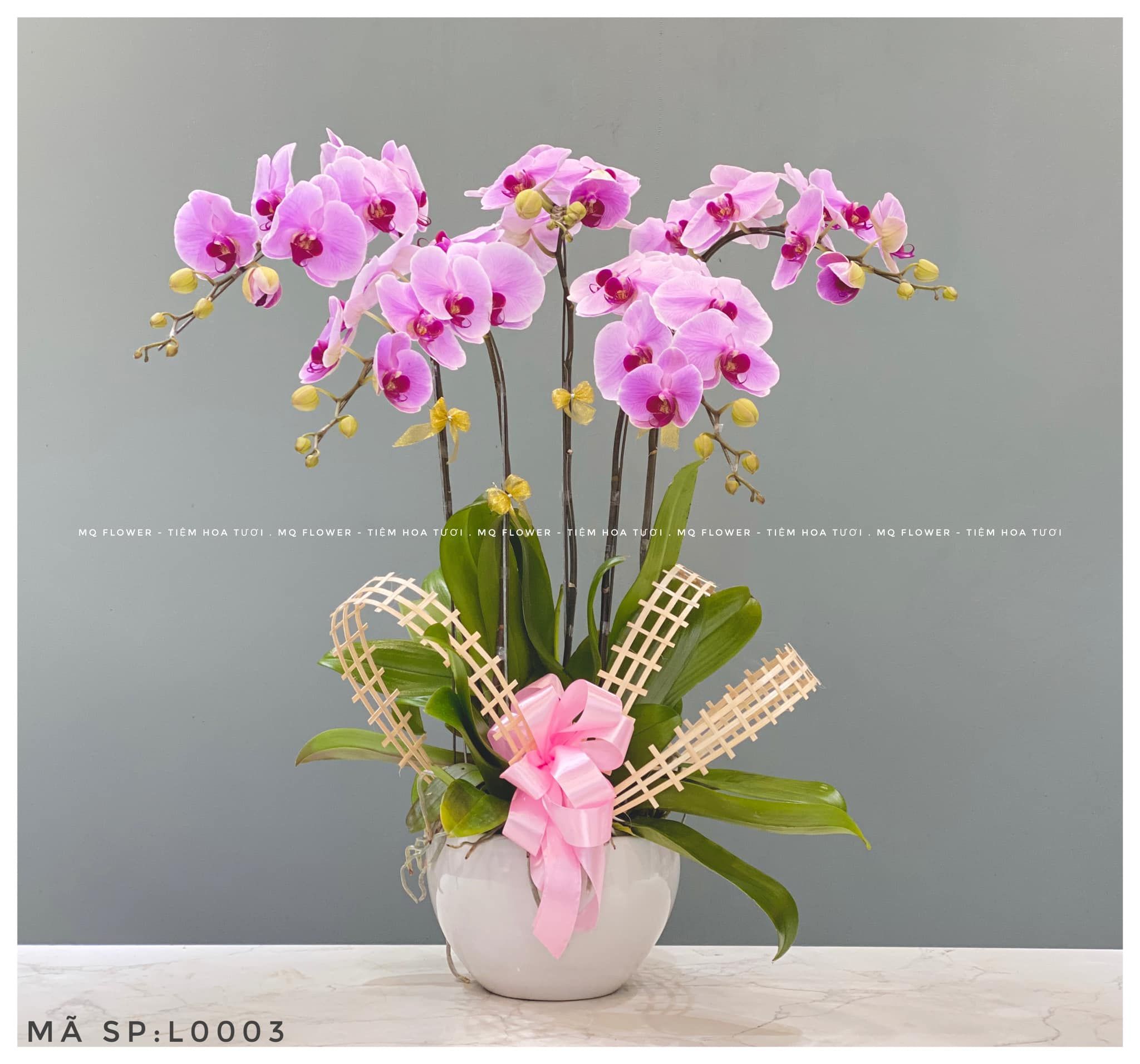 L0003-HỒNG PHÁT