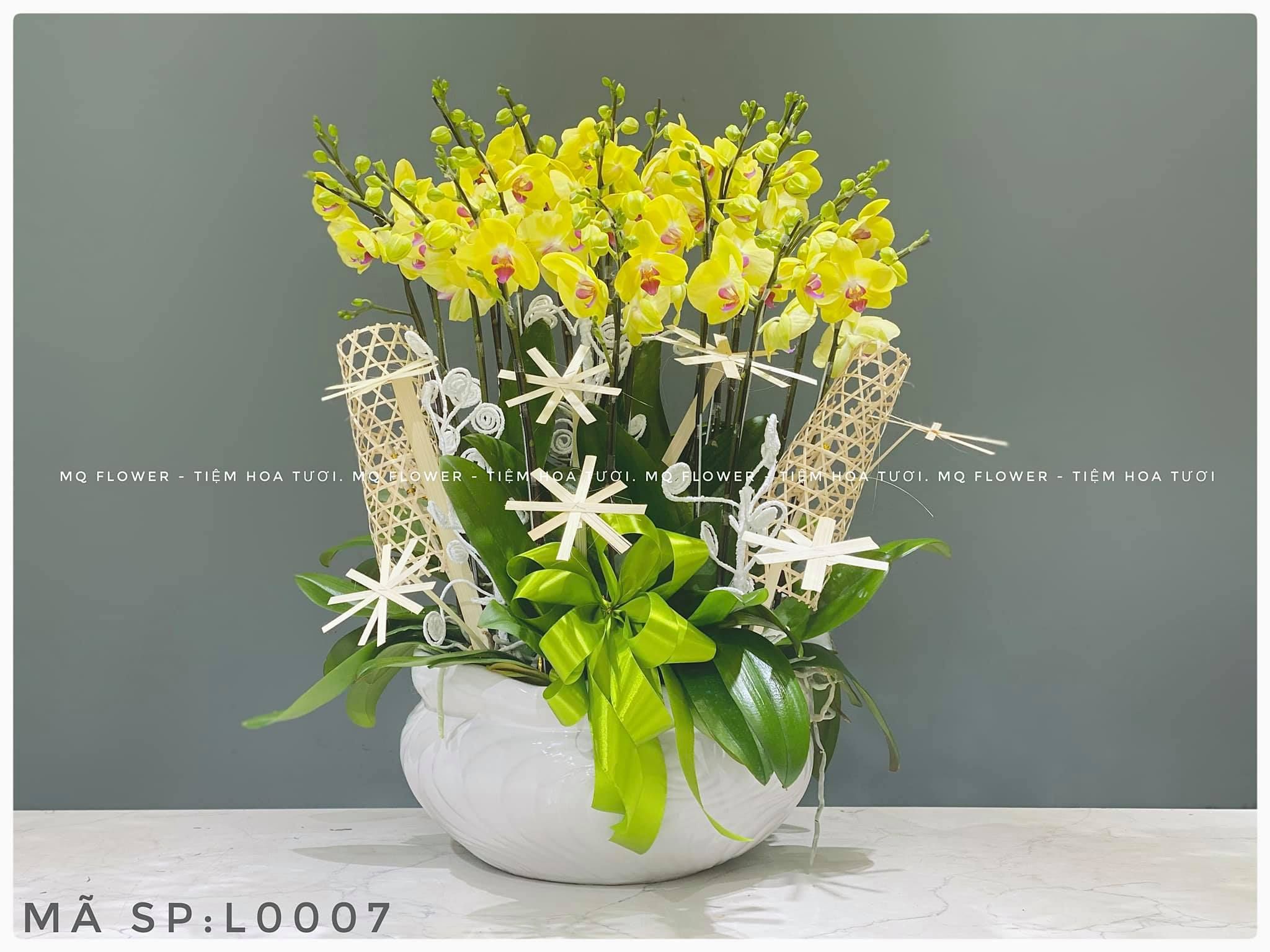 L0007-CÁT TƯỜNG
