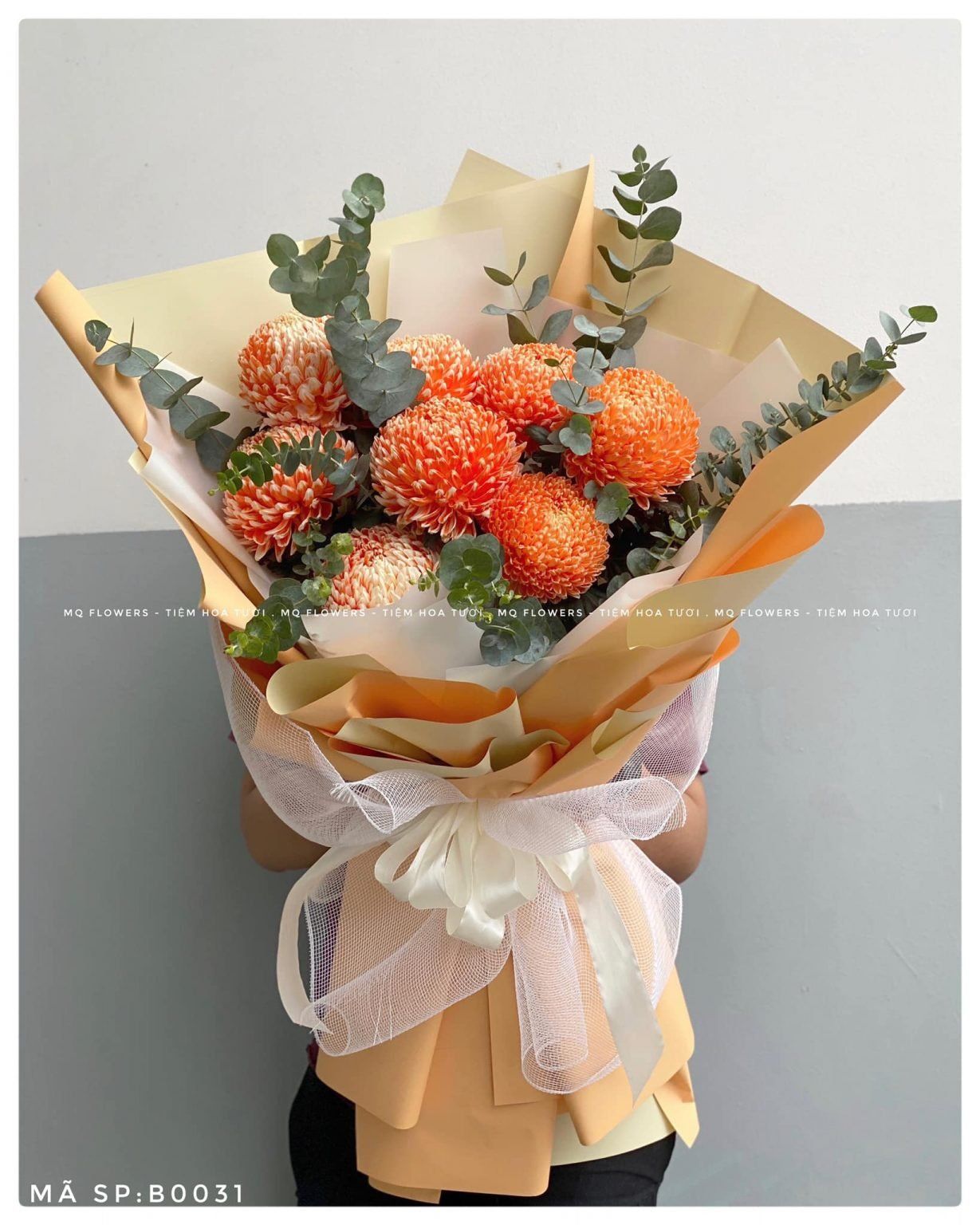 B0036-ÁNH MẶT TRỜI