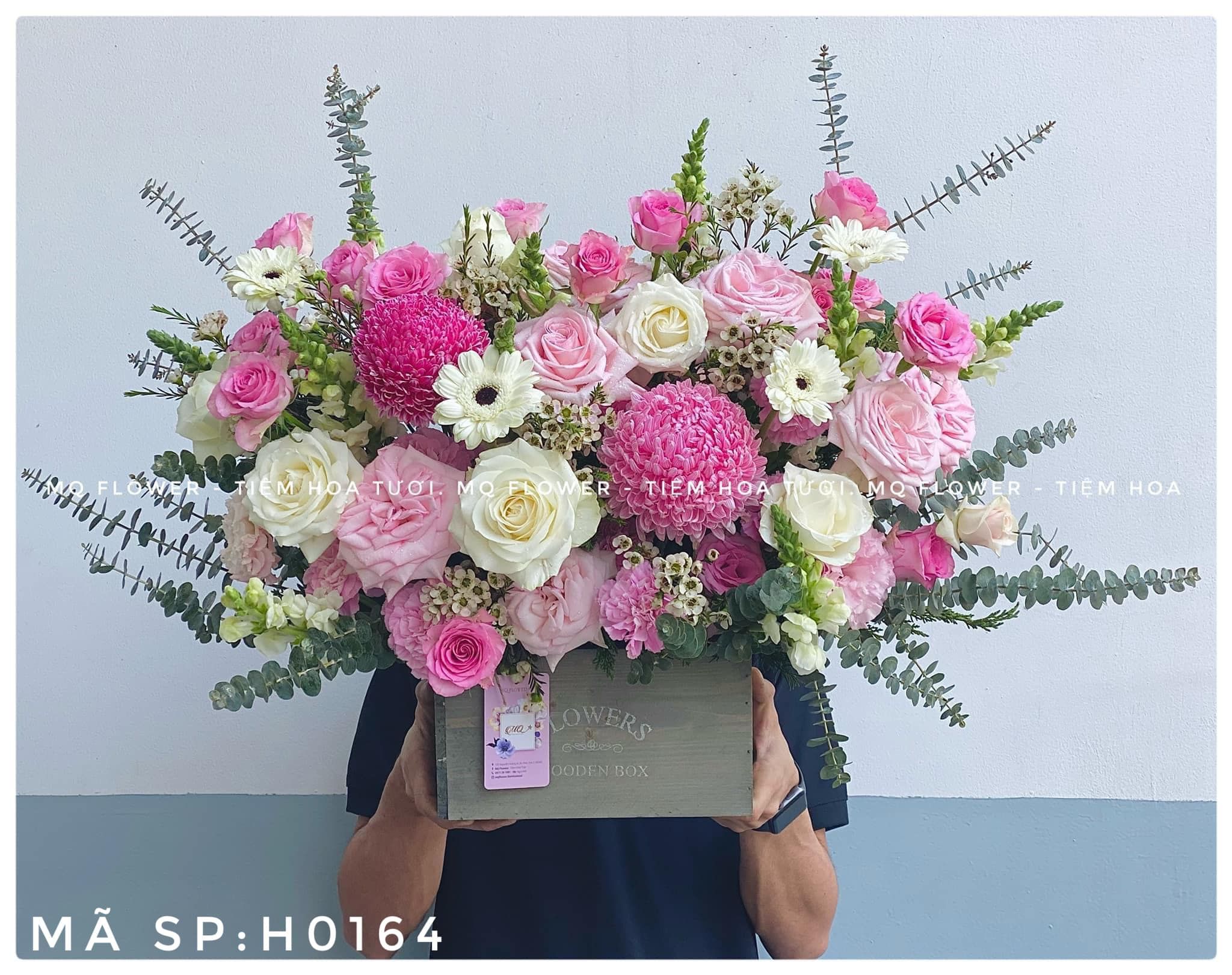 H0050-PINKY PINKY