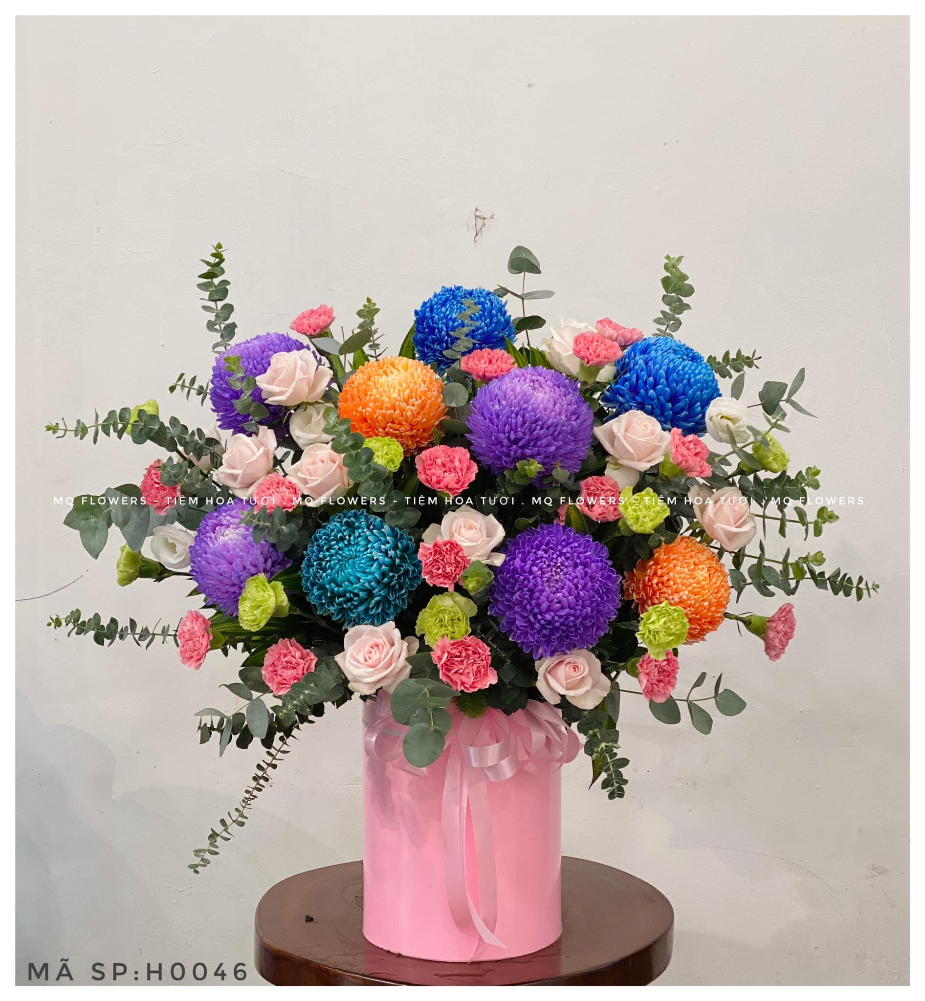 H0055-CUỘC SỐNG MUÔN MÀU