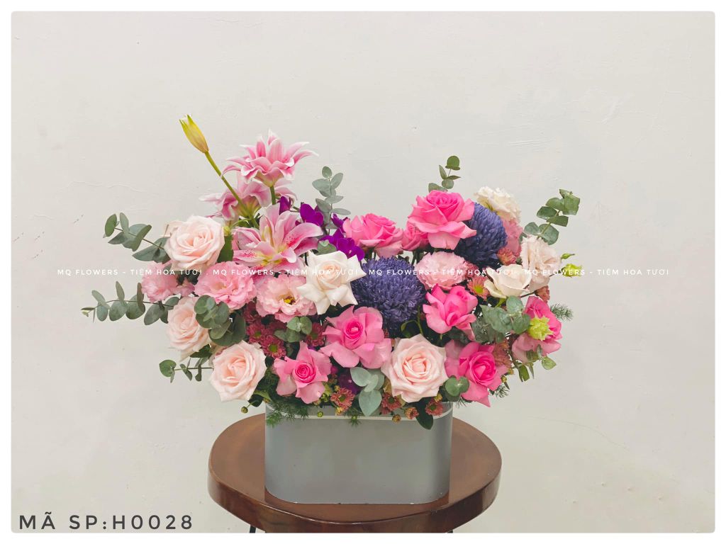 H0059-SỨC SỐNG MỚI