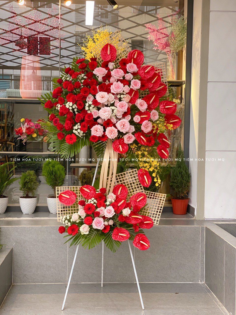 K0001-VẬN MAY MỚI