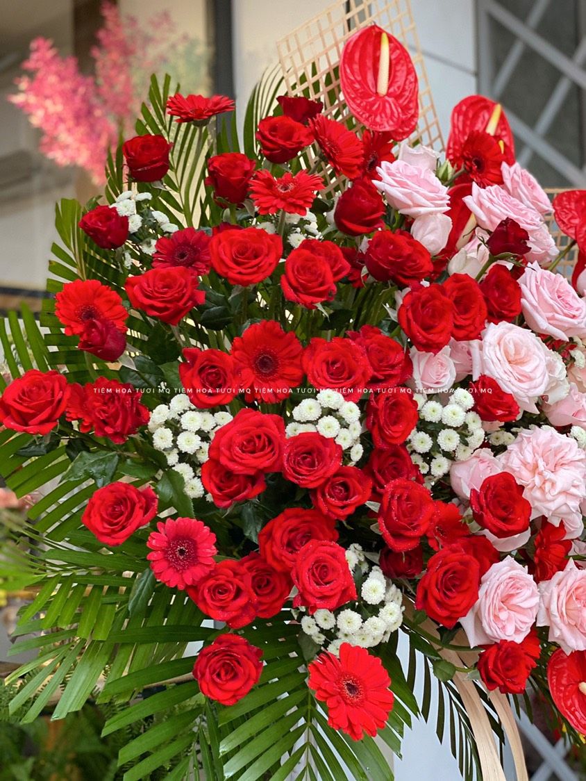 K0001-VẬN MAY MỚI