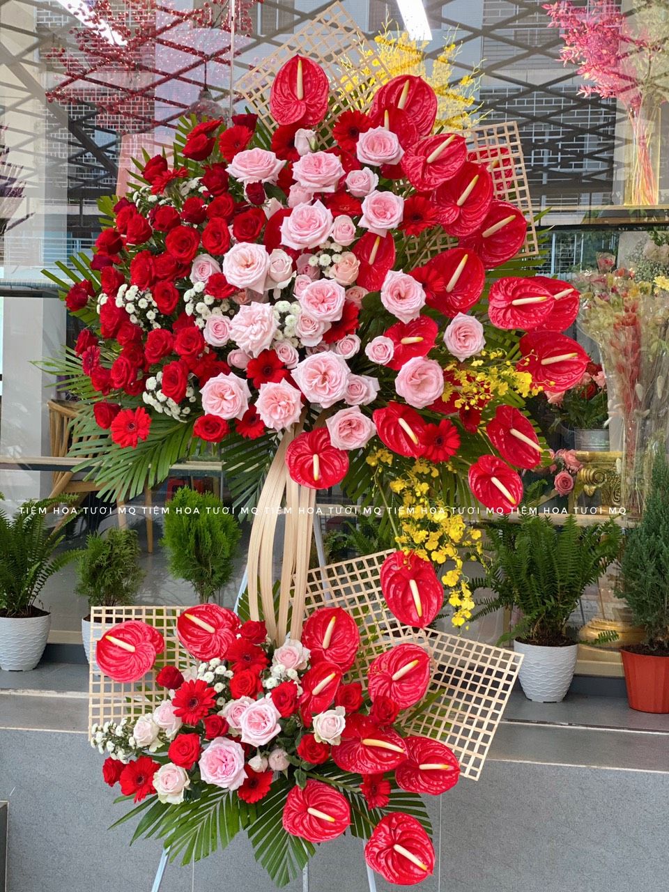 K0001-VẬN MAY MỚI
