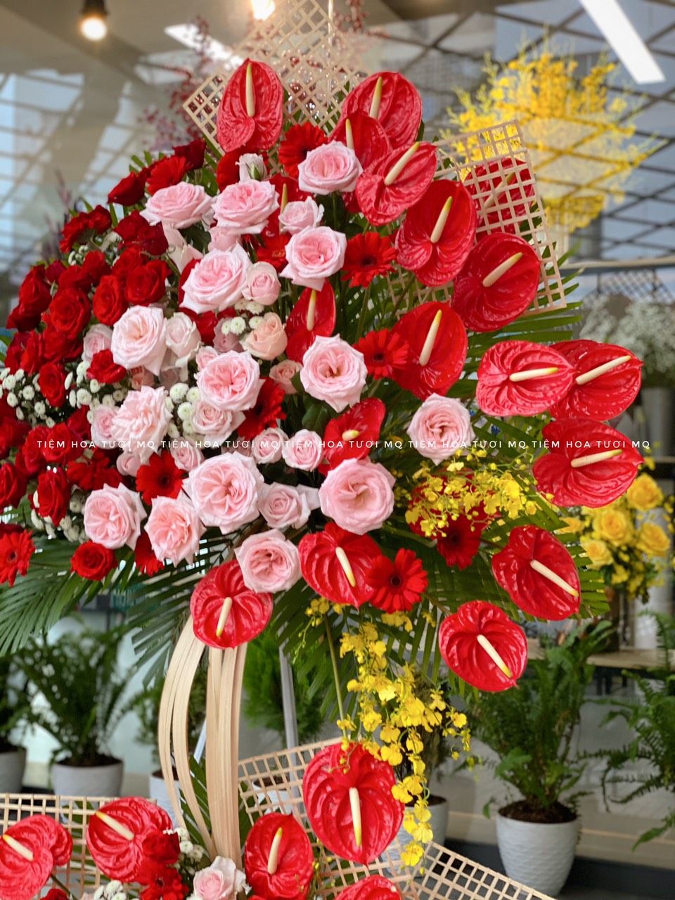 K0001-VẬN MAY MỚI