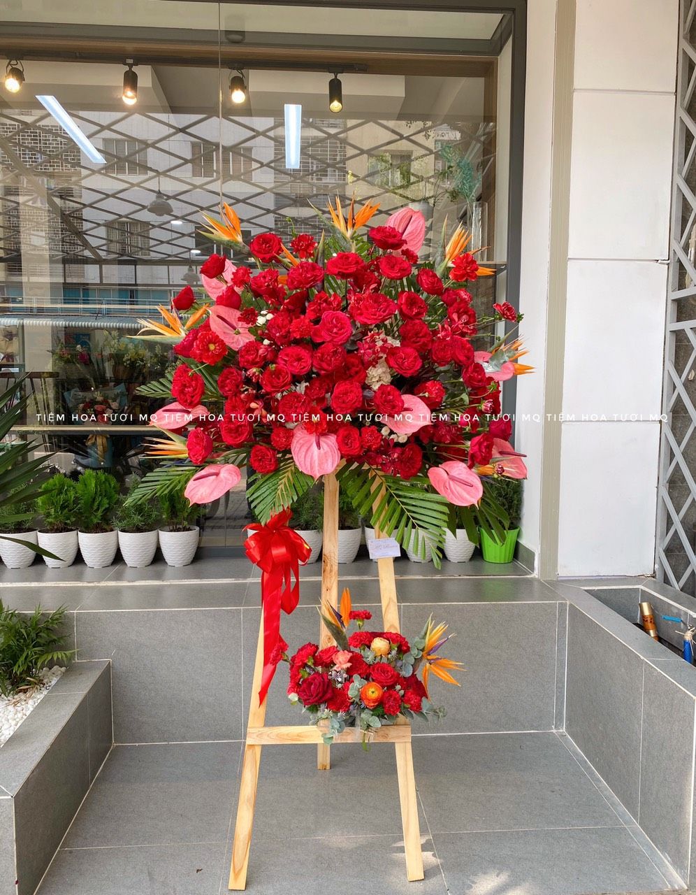 K0026-ĐỘT PHÁ THÀNH CÔNG