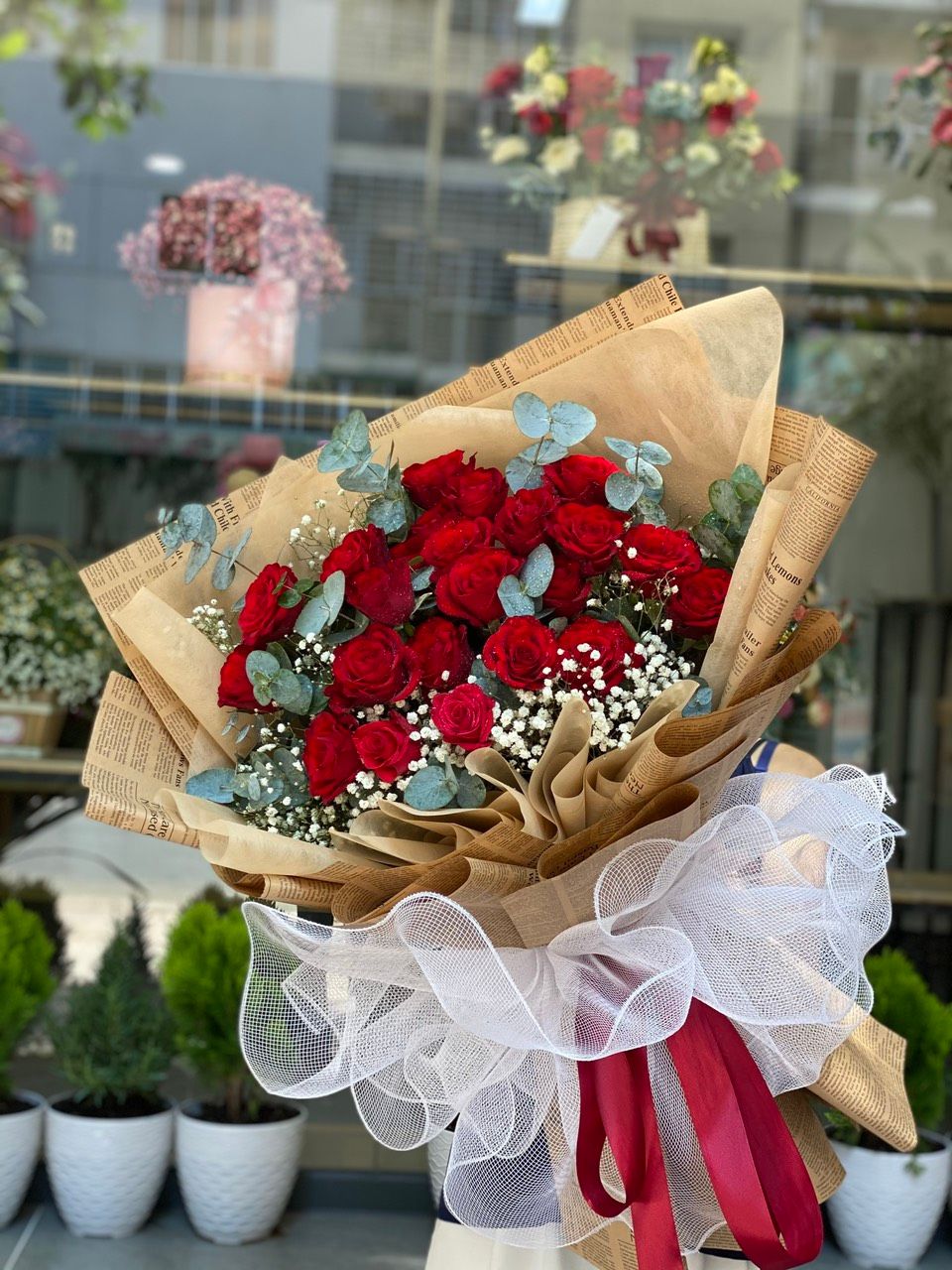 B0113-LỜI CẦU HÔN