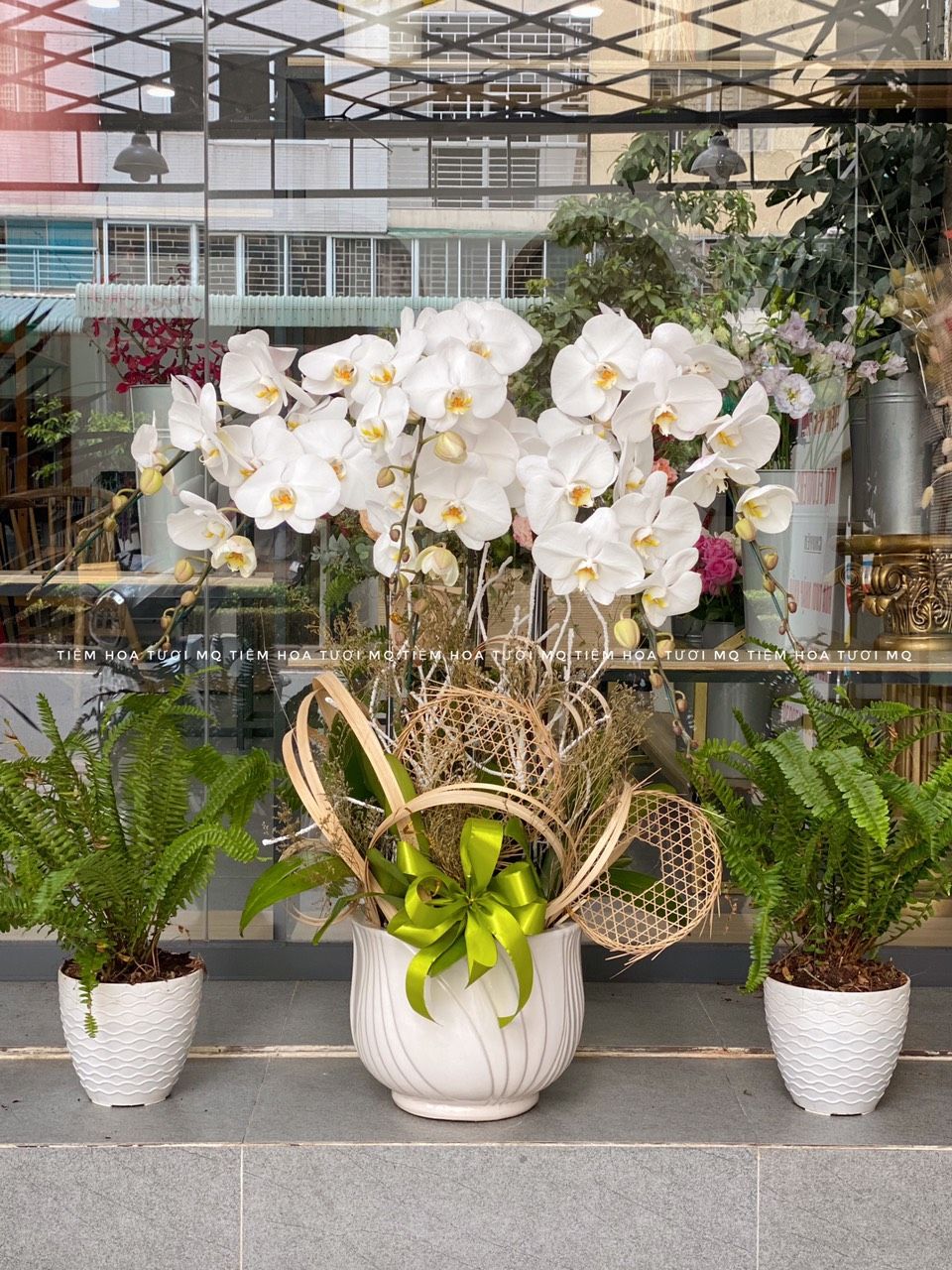 L0022-PHÁT LỘC