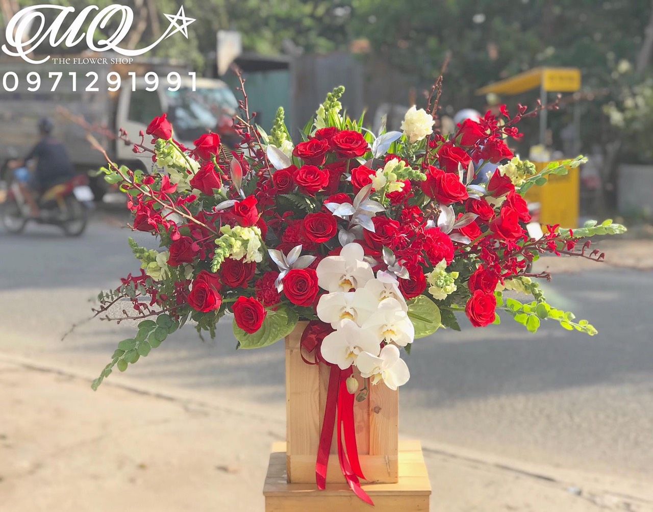 H0118-SẮC ĐỎ