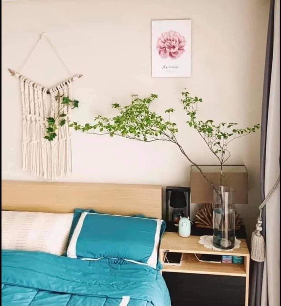 Cành thạch nam Nhật Bản
