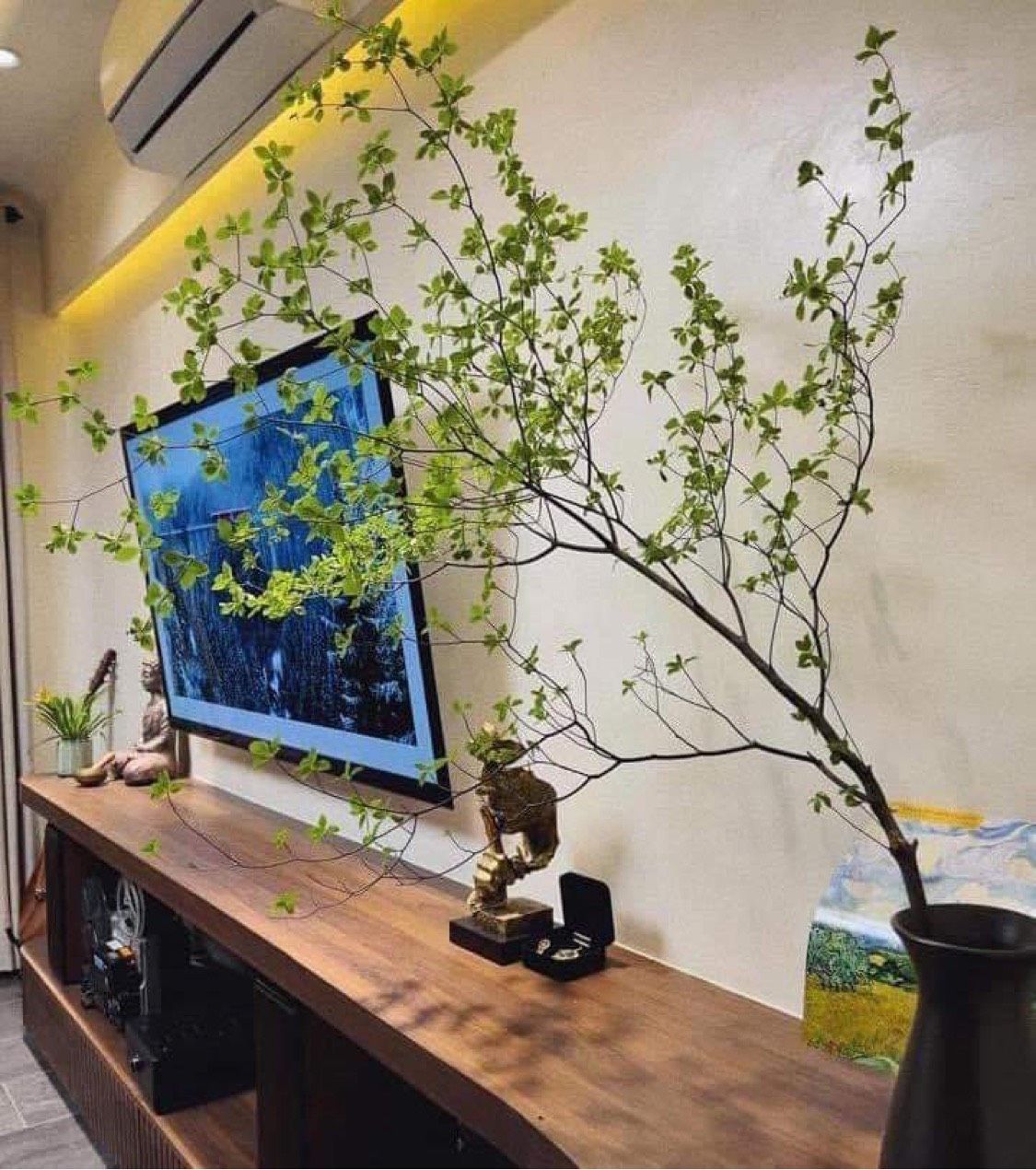 Cành thạch nam Nhật Bản