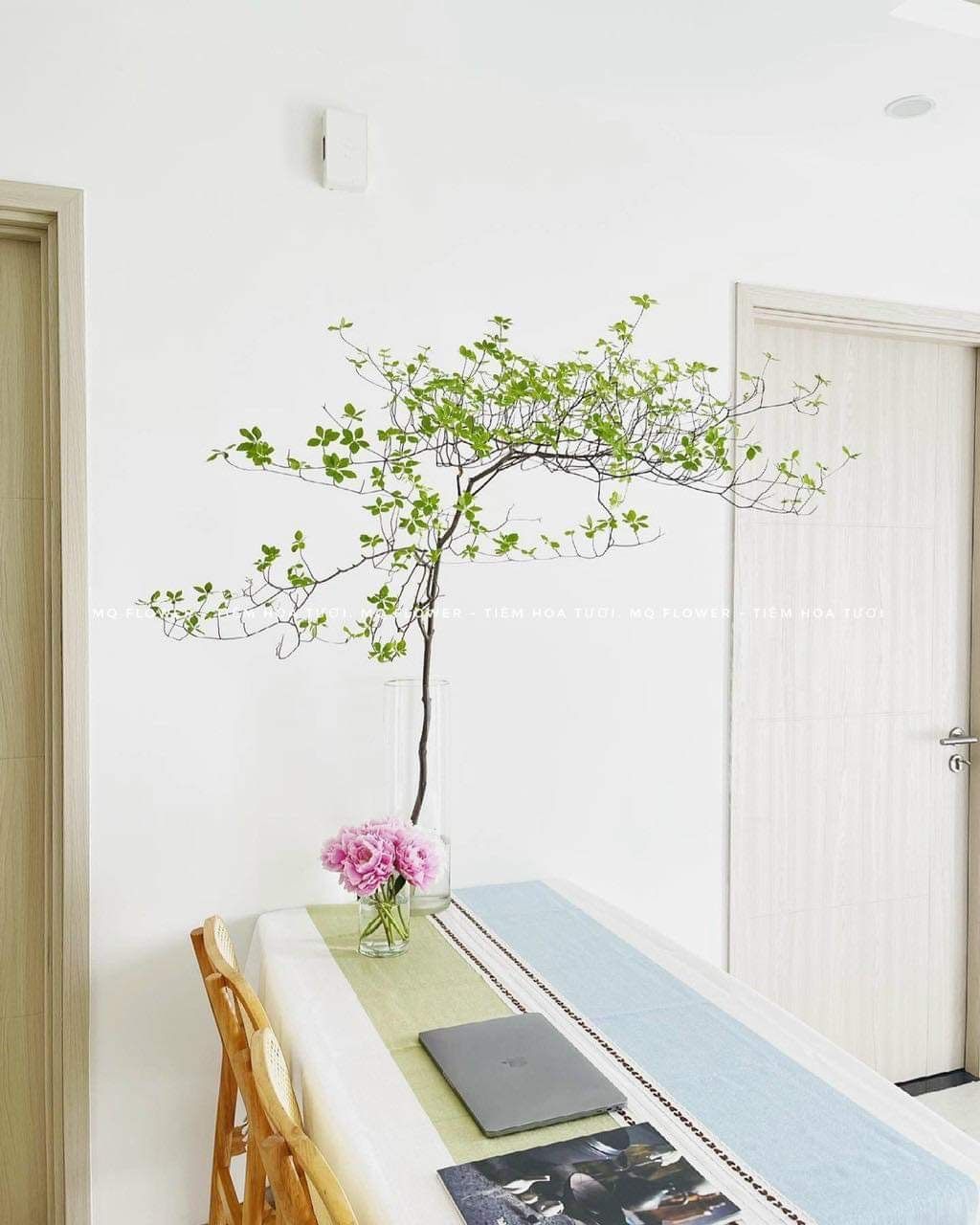 Cành thạch nam Nhật Bản