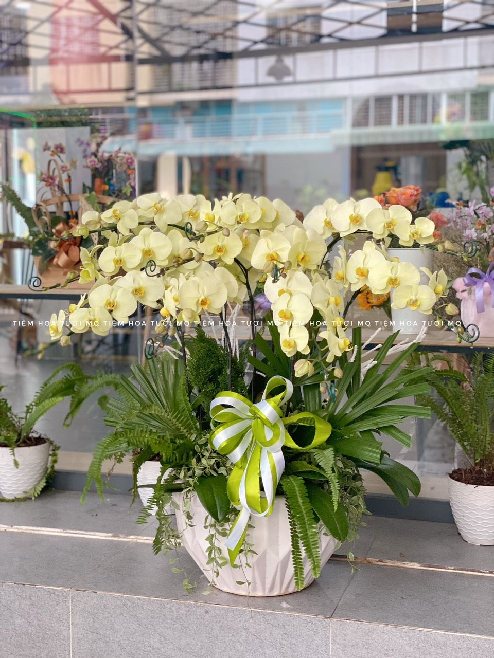 L0024-ĐẠI THÀNH CÔNG