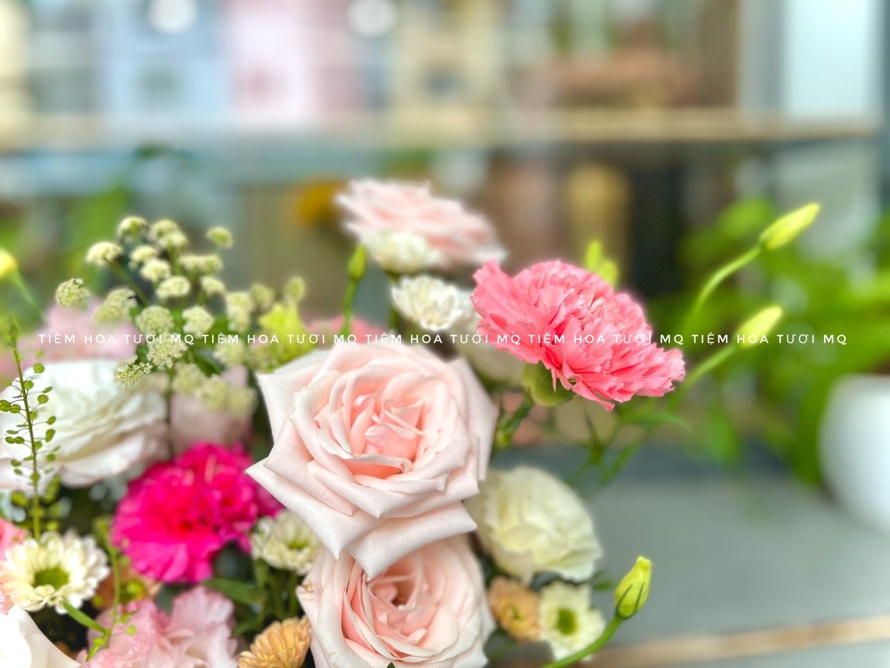G0047-XINH XẮN