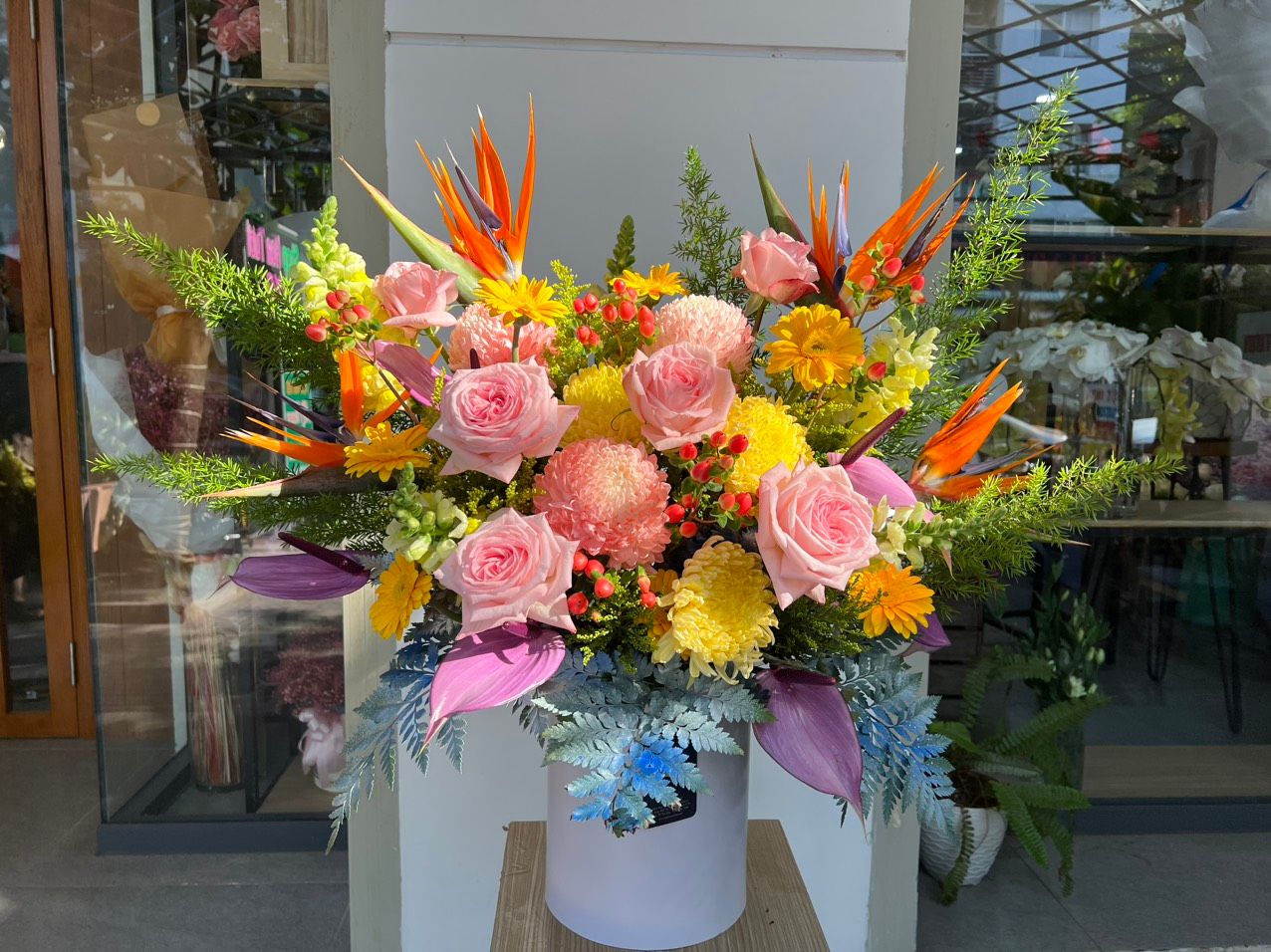 H0143-TÌNH YÊU RỰC RỠ
