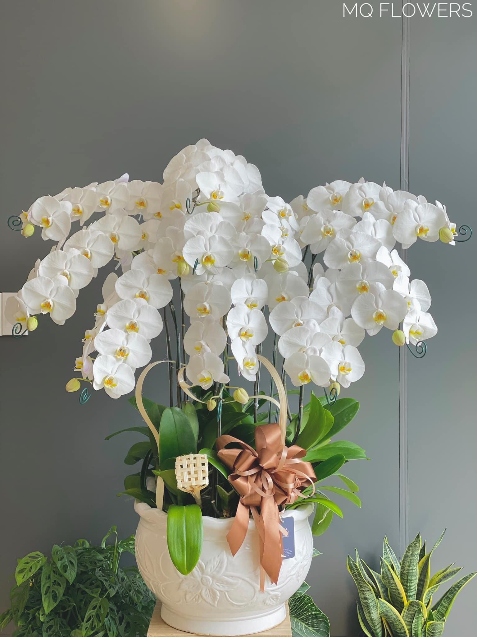 L0027-SƯƠNG MAI