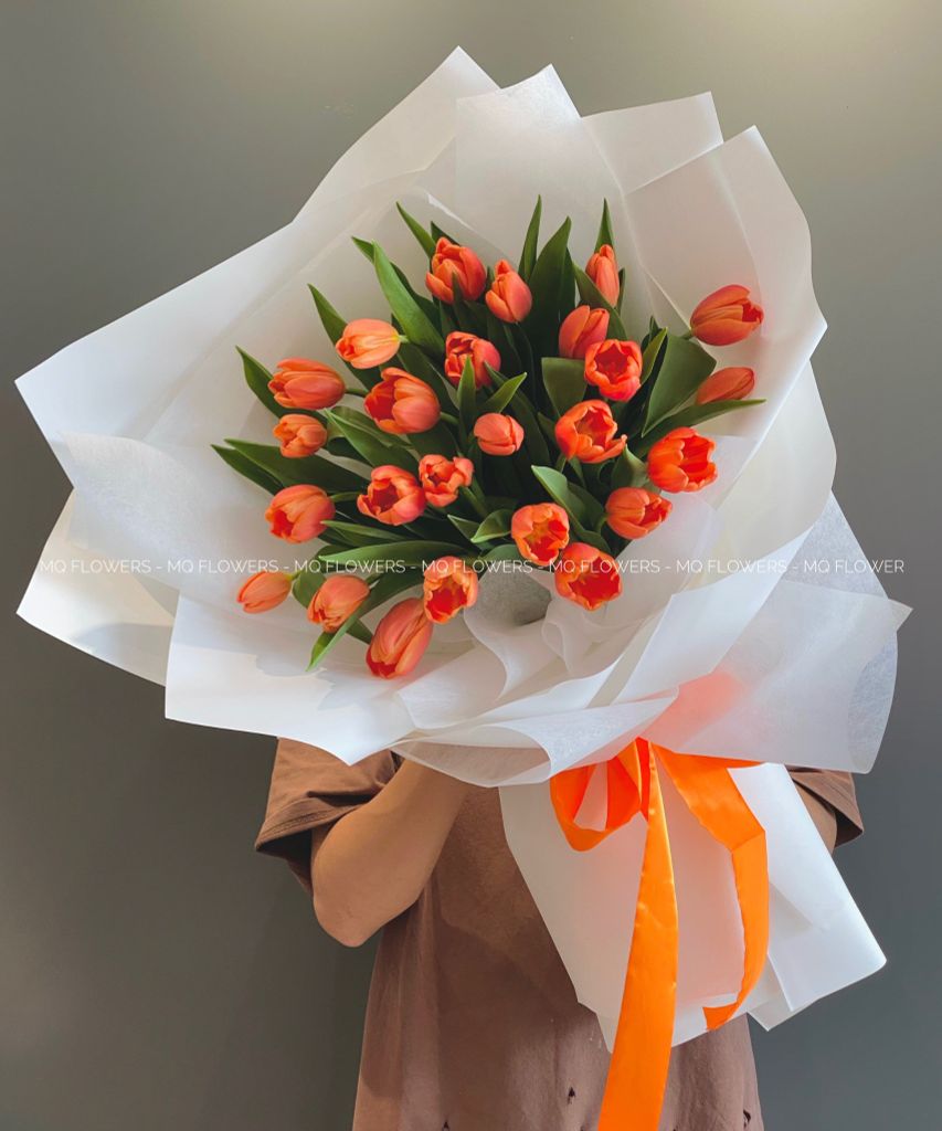 B0073 - Rực Rỡ