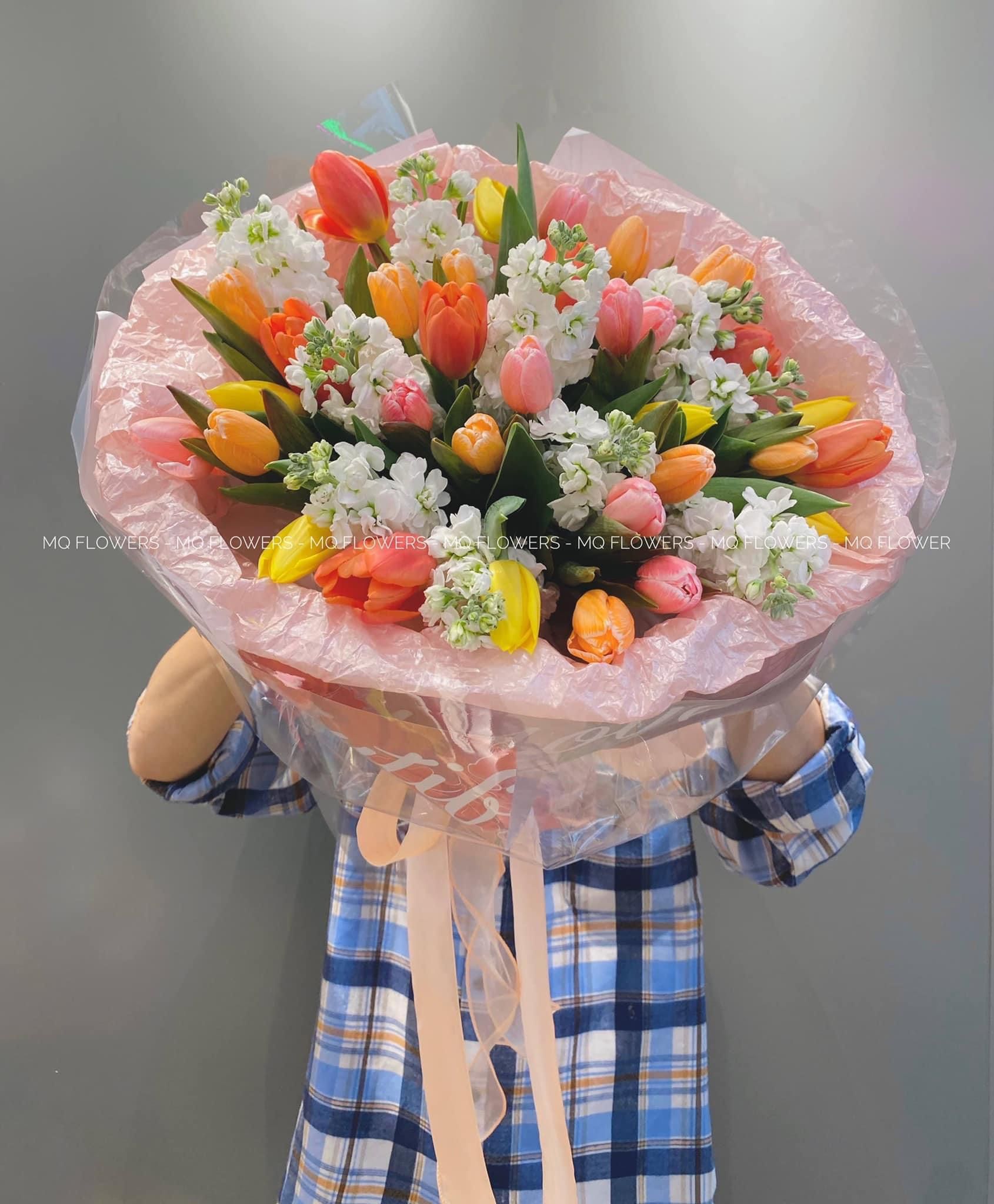 B0072 - Sắc Màu