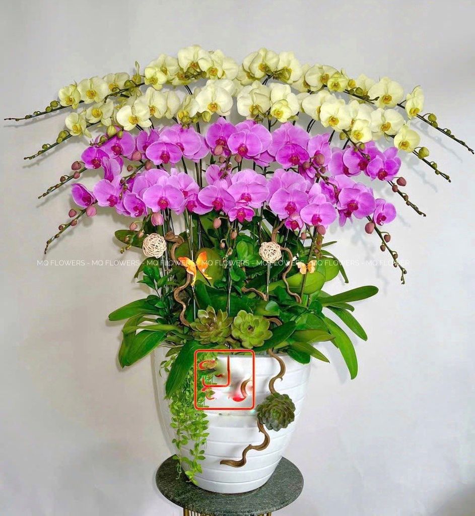 L0033 - LAN HỒ ĐIỆP