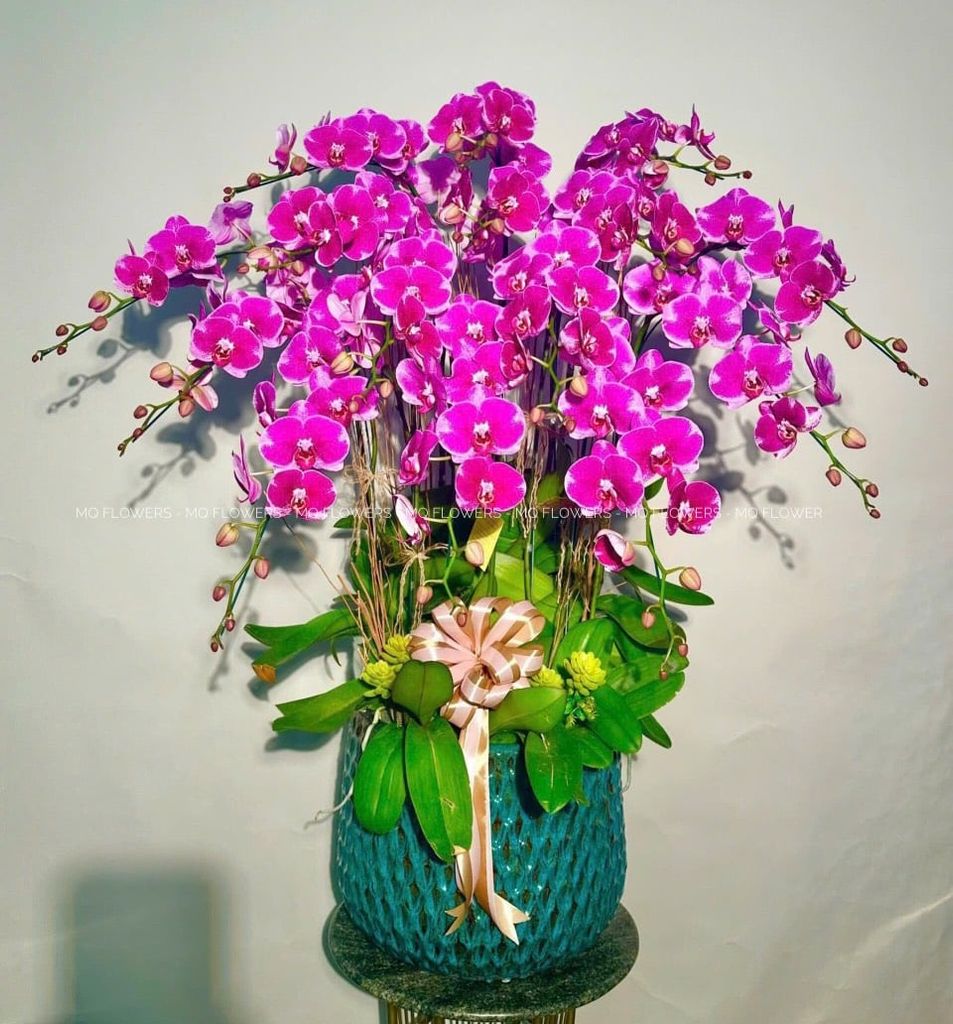 L0039 - LAN HỒ ĐIỆP