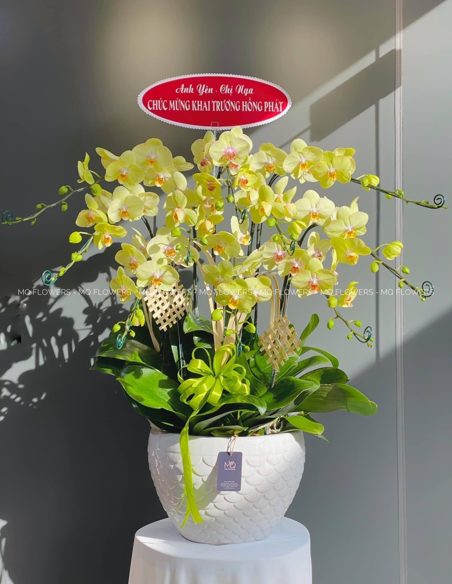 L0049 - LAN HỒ ĐIỆP