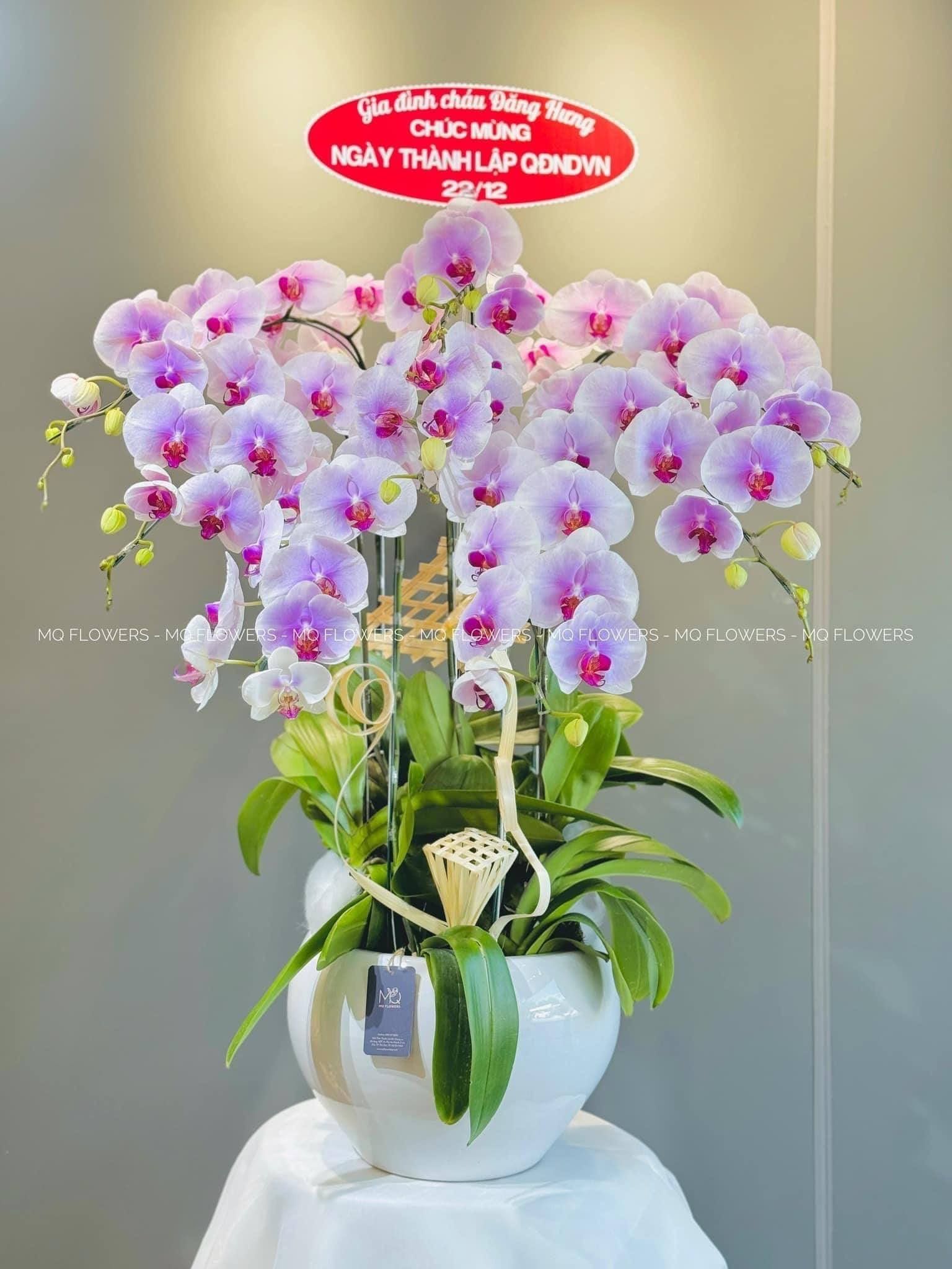 L0053 - LAN HỒ ĐIỆP