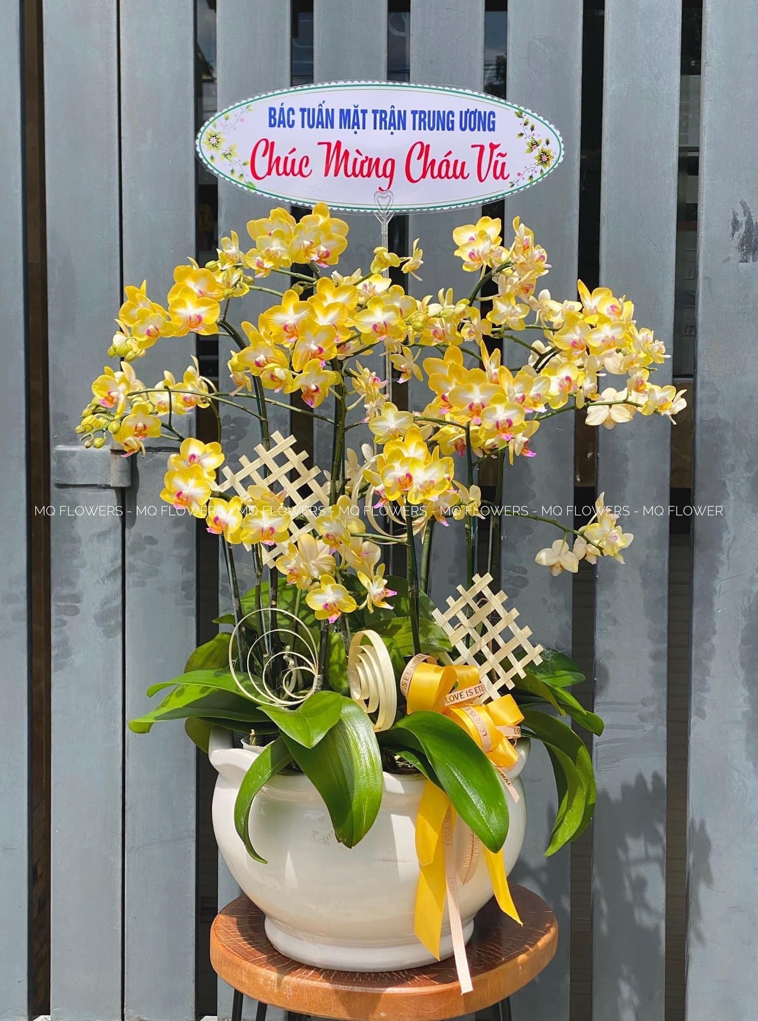 L0055 - LAN HỒ ĐIỆP