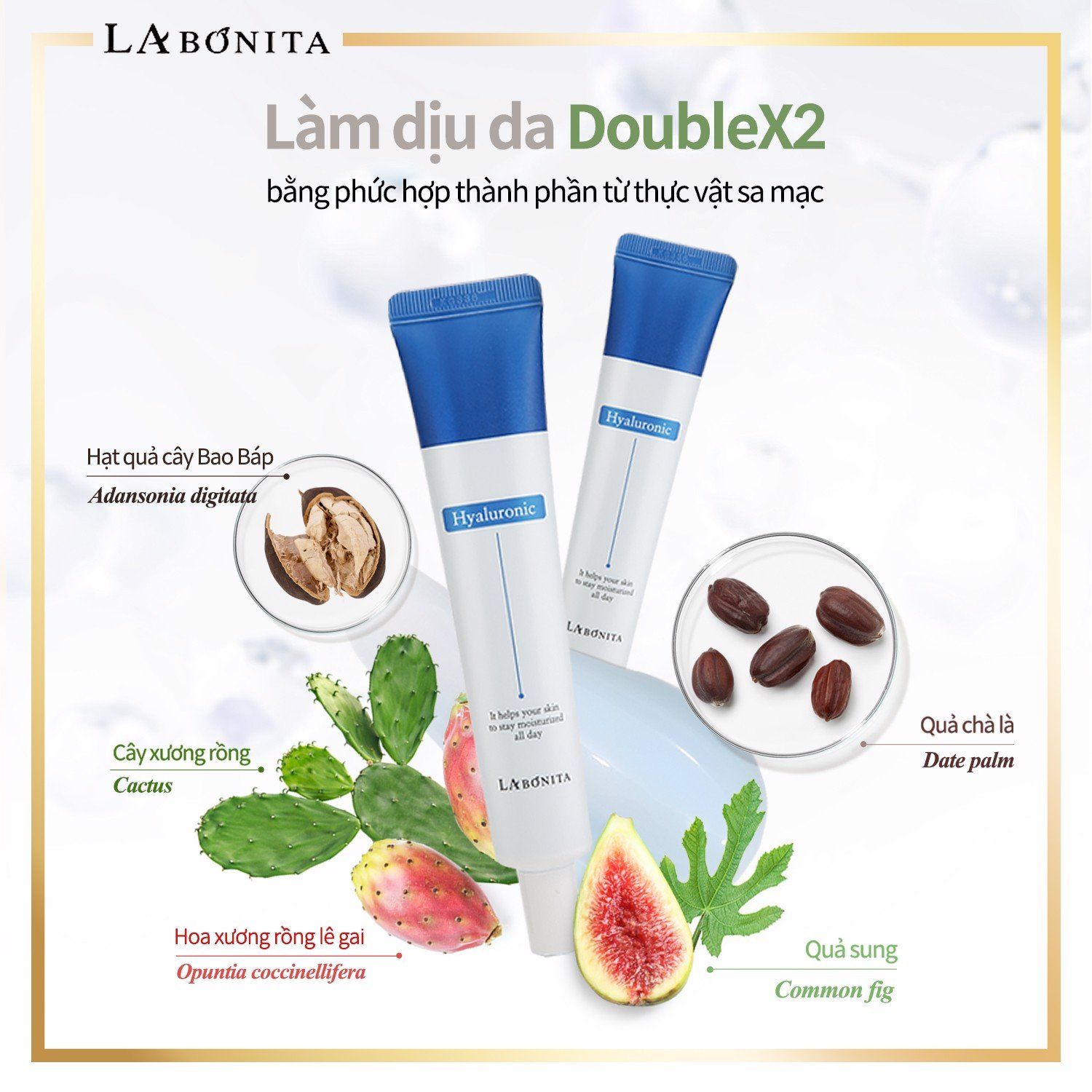 Kem Dưỡng Ẩm Sáng Da Và Phục Hồi Da La Bonita Vital Hyaluronic Acid Cream 50ml