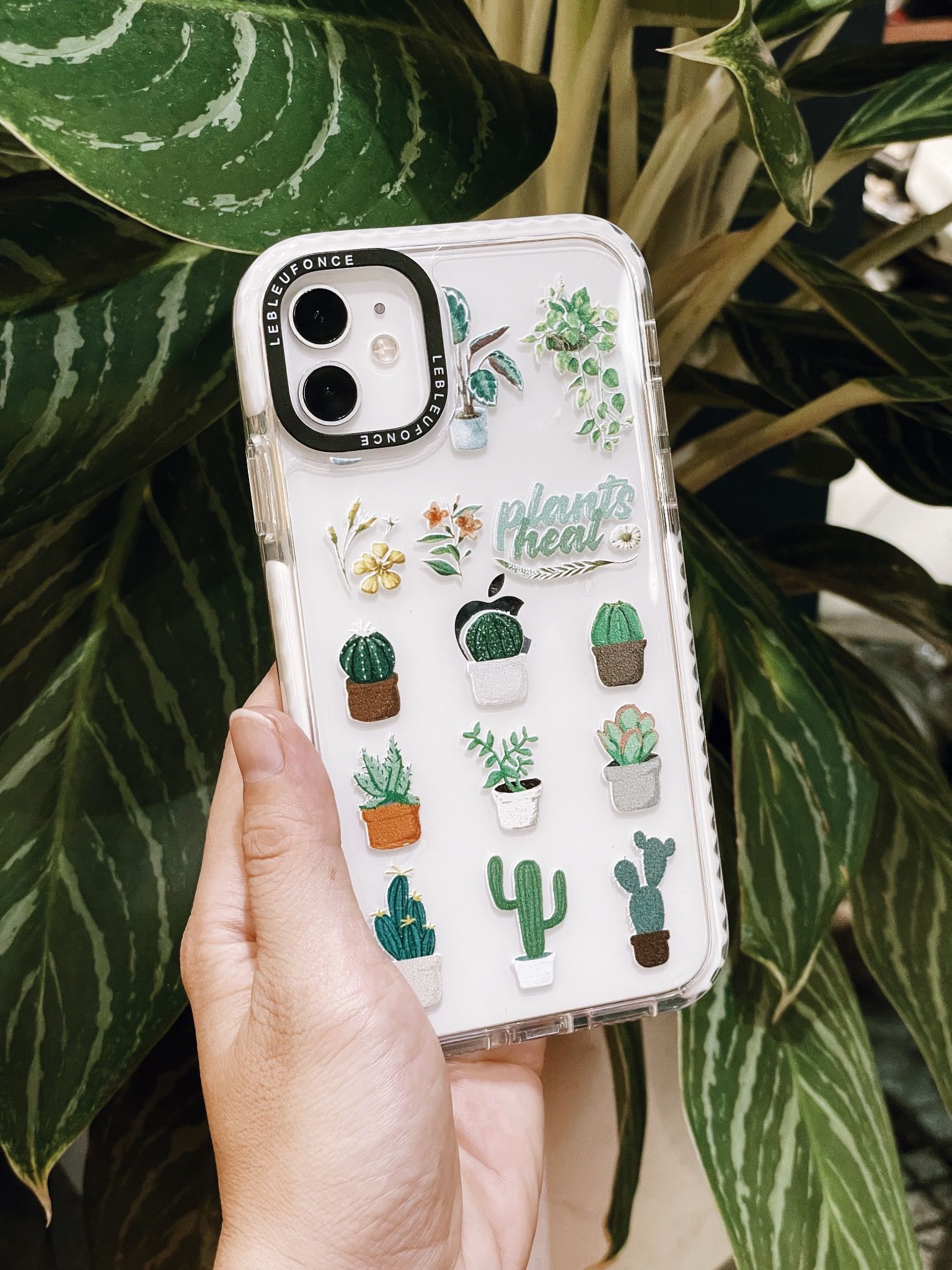 PLANTS HEAL