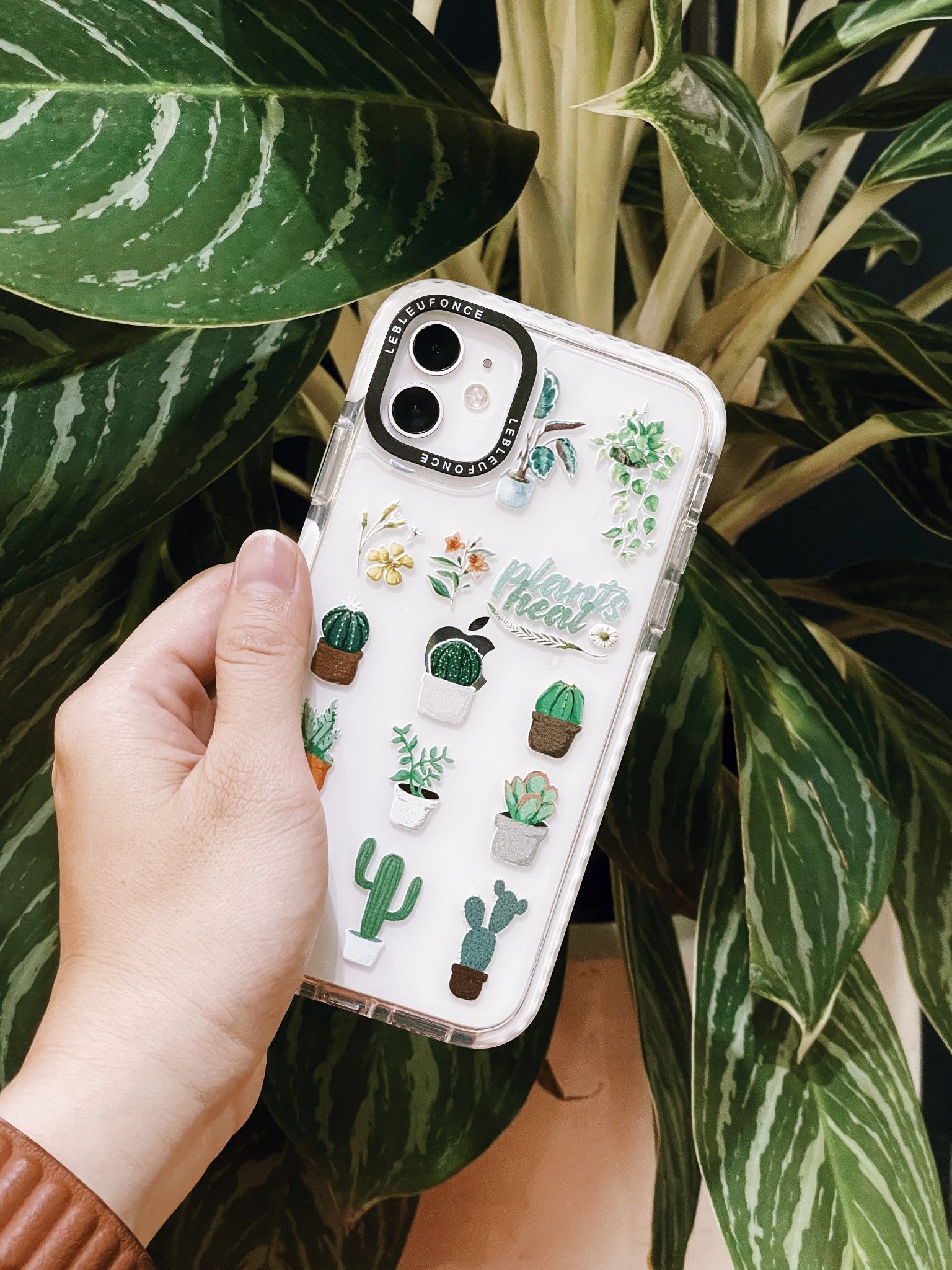 PLANTS HEAL