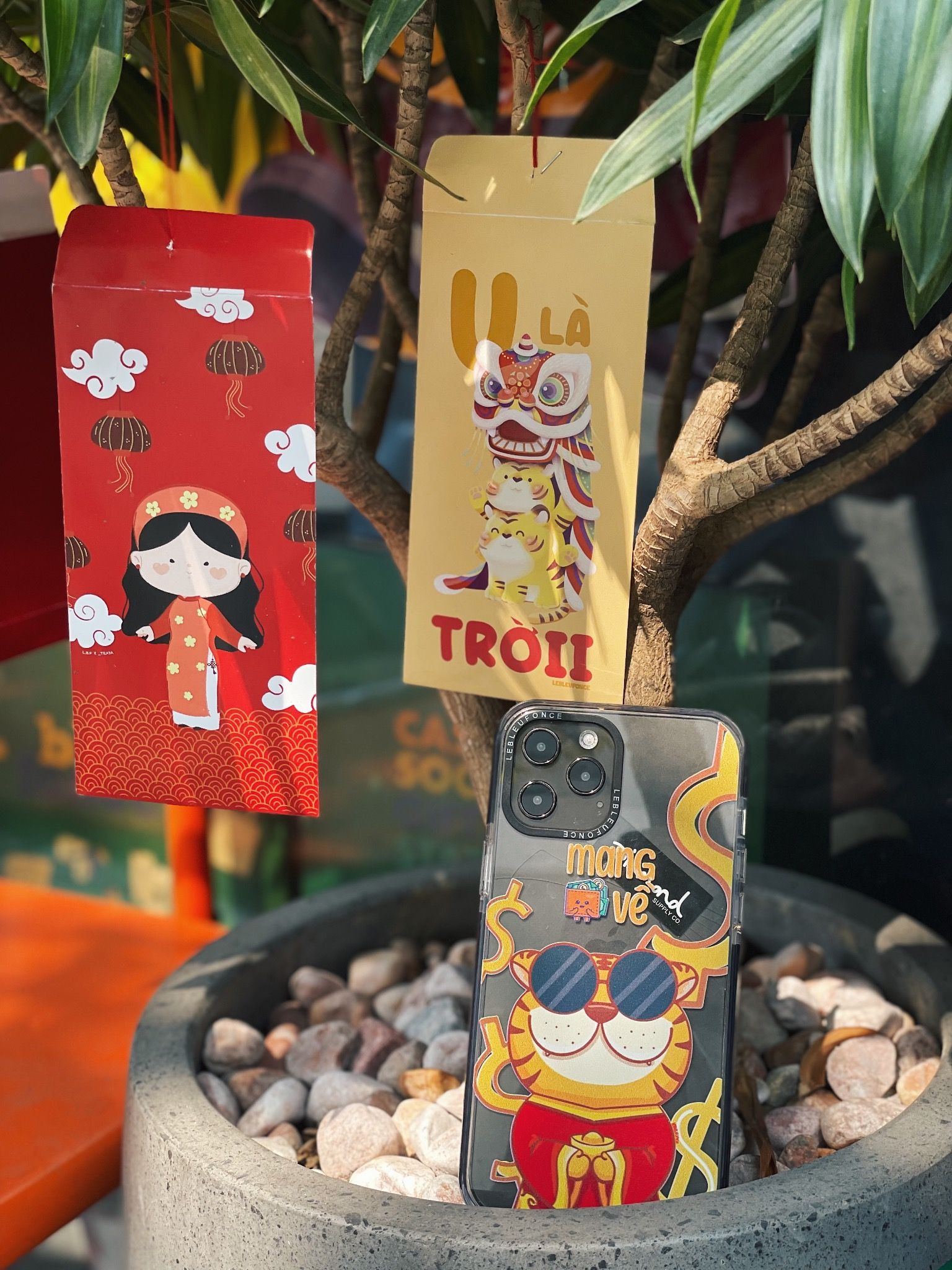 MANG TIỀN VỀ