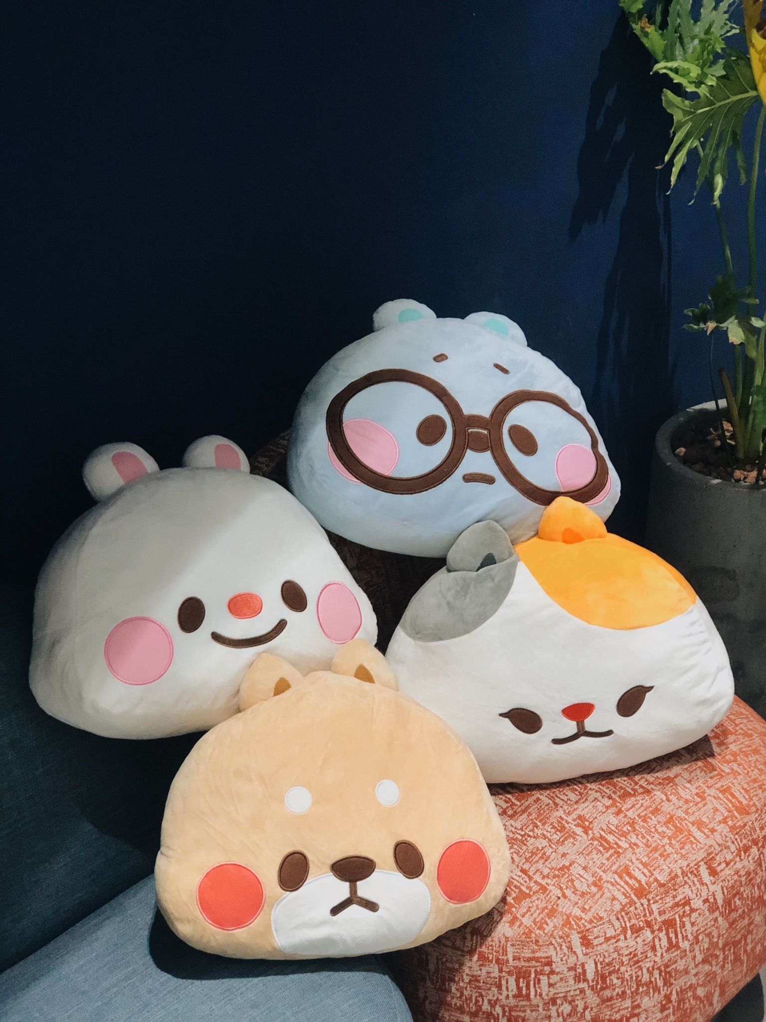 TONTONFRIENDS