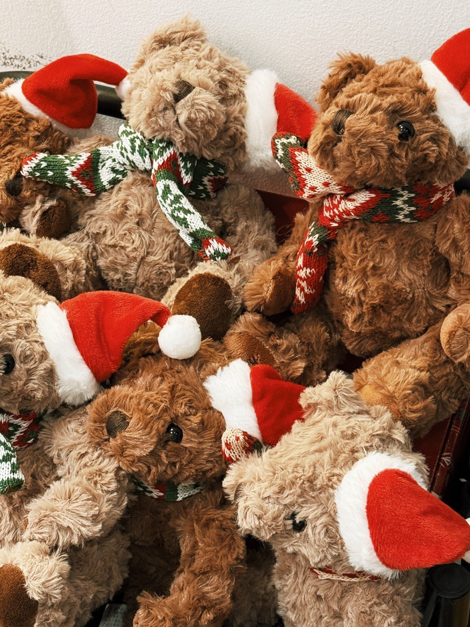 TEDDY BEAR
